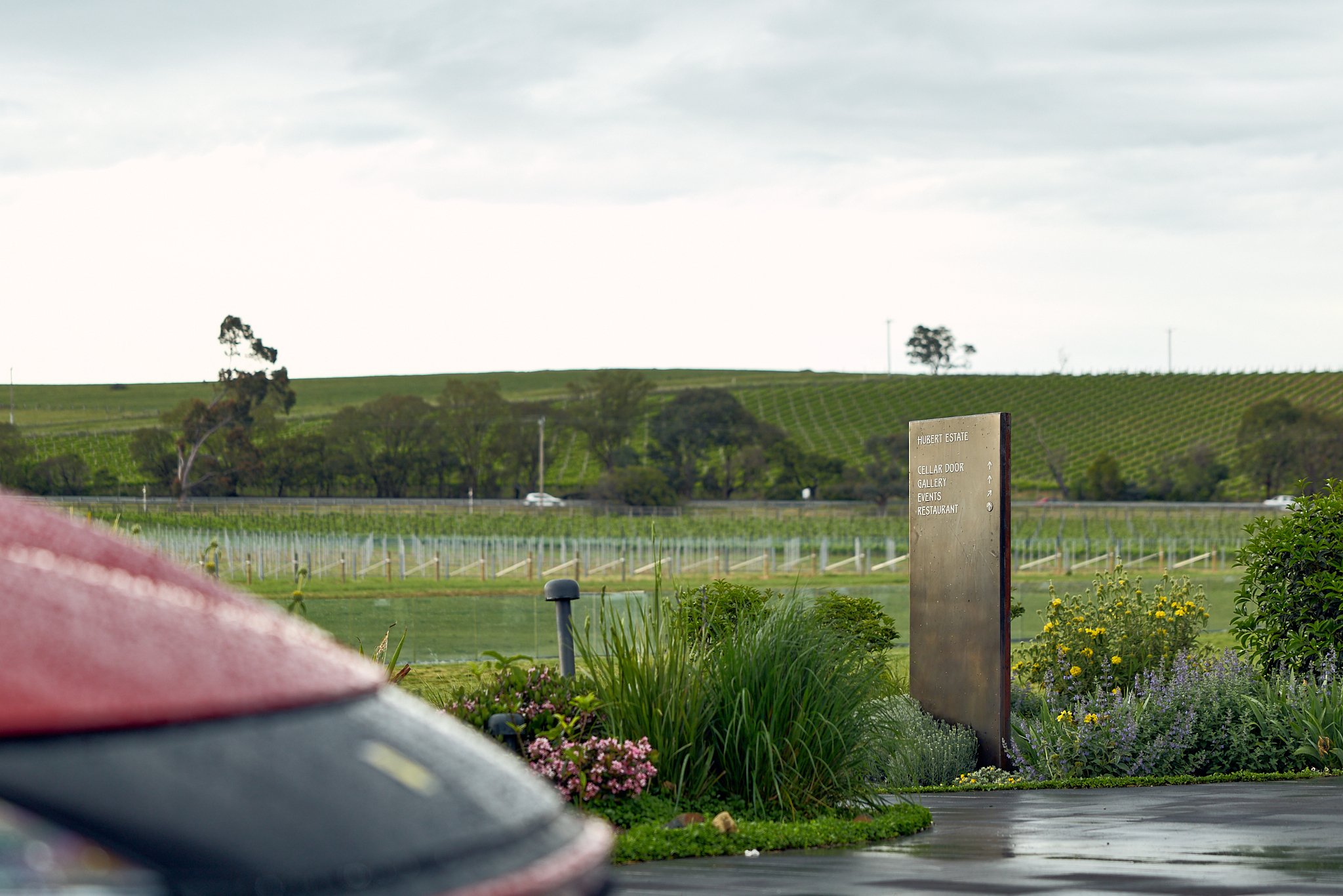 Esperienza Ferrari_Yarra Valley_October.2025_Ari Gelgec_400.jpg