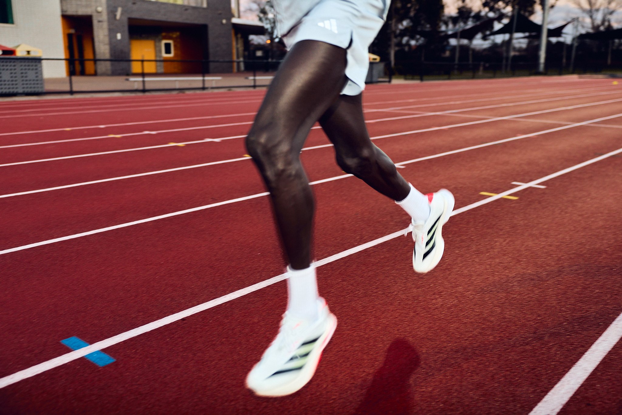 Porsche x Peter Bol_Ari Gelgec5.jpg