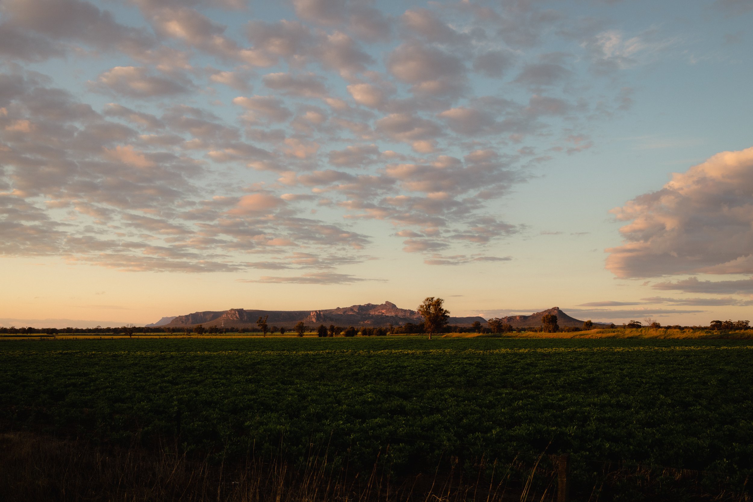 Scenic landscape with green fields, sparse trees, distant mountain range, and a sky with scattered clouds at sunset.