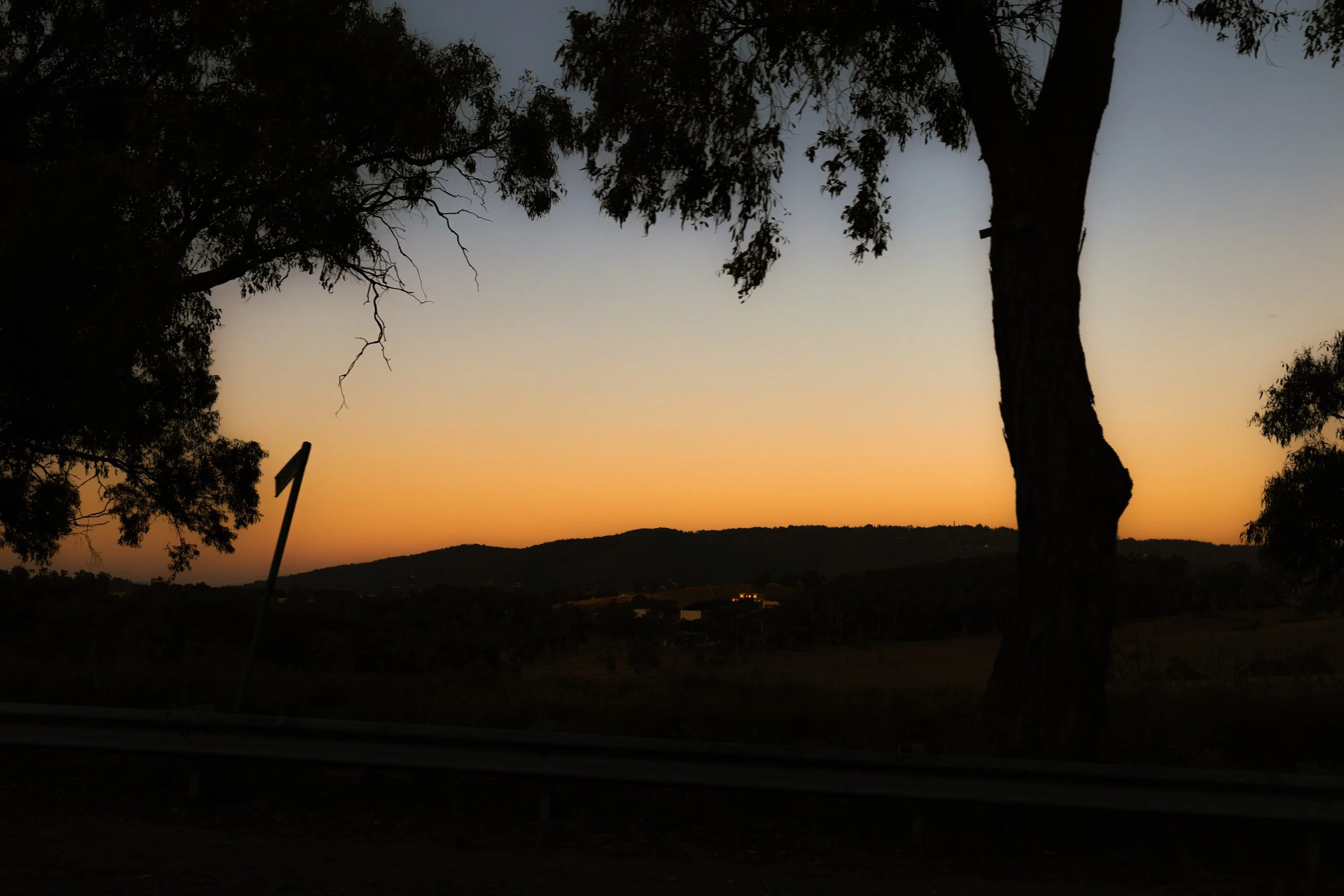 Sunset landscape with a large tree in the foreground, rolling hills in the distance, and a highway guardrail in the bottom left corner.