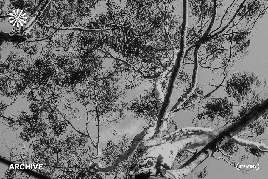 Griffith University Nathan Campus Masterplan