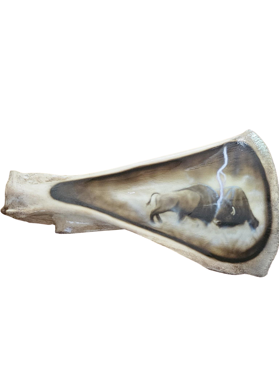 Custom airbrush buffalo artwork on natural bone surface with realistic shading and lightning effect