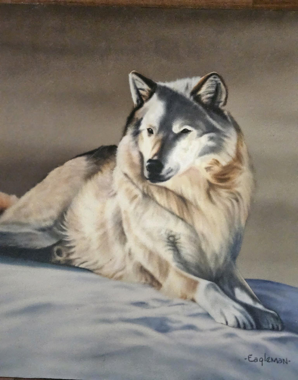 Custom airbrush painting of a wolf resting in snow with soft realistic fur detail and warm background