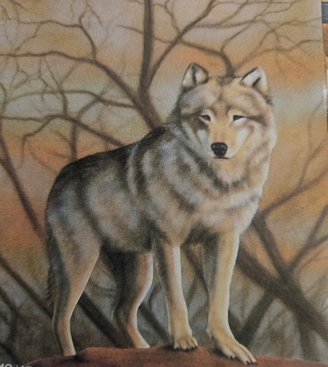 Custom Wolf Airbrush Painting