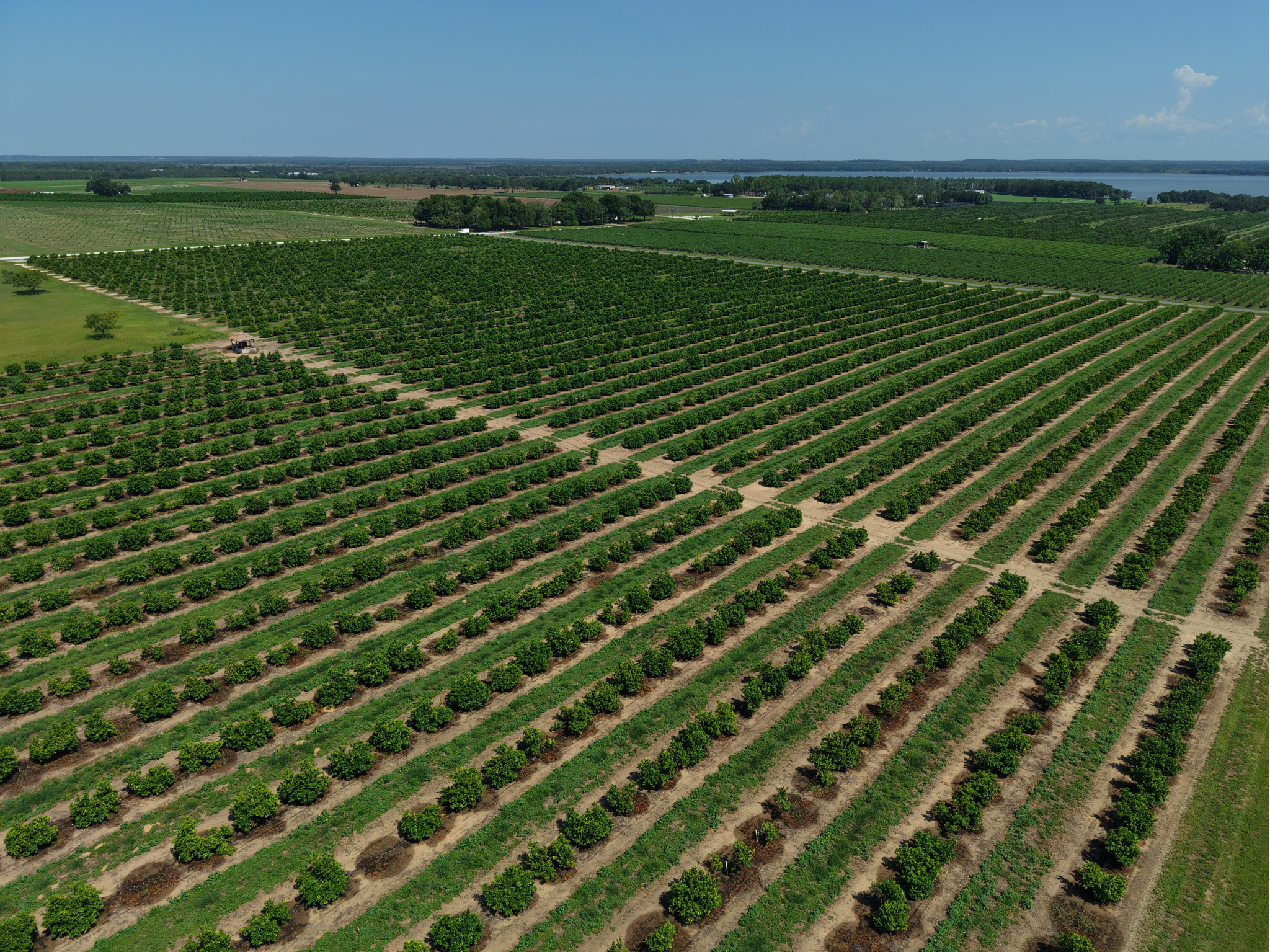 Agricultural.png