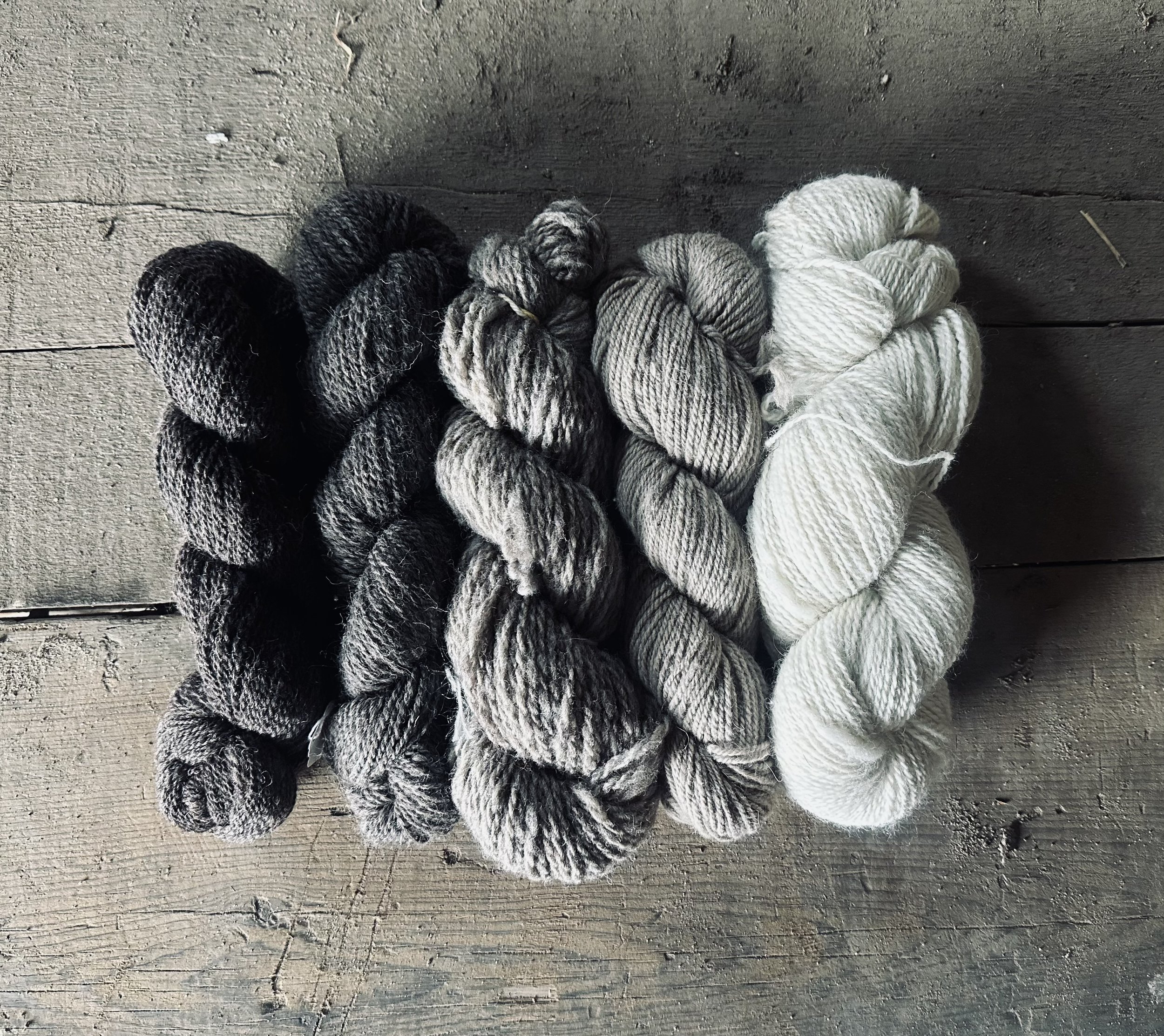 Locally Grown Yarn