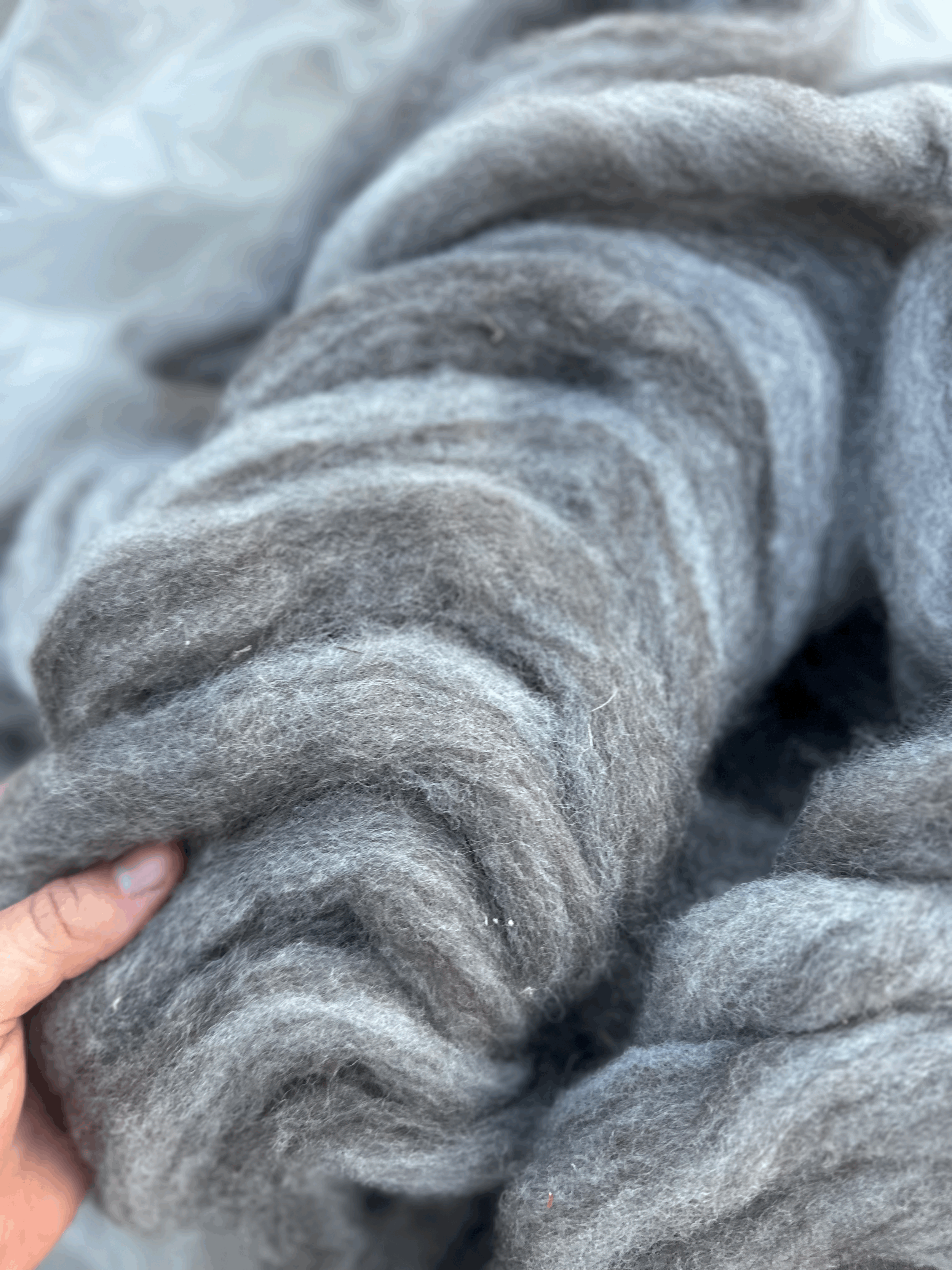 Locally Grown Roving - Harlequin w/ Alpaca