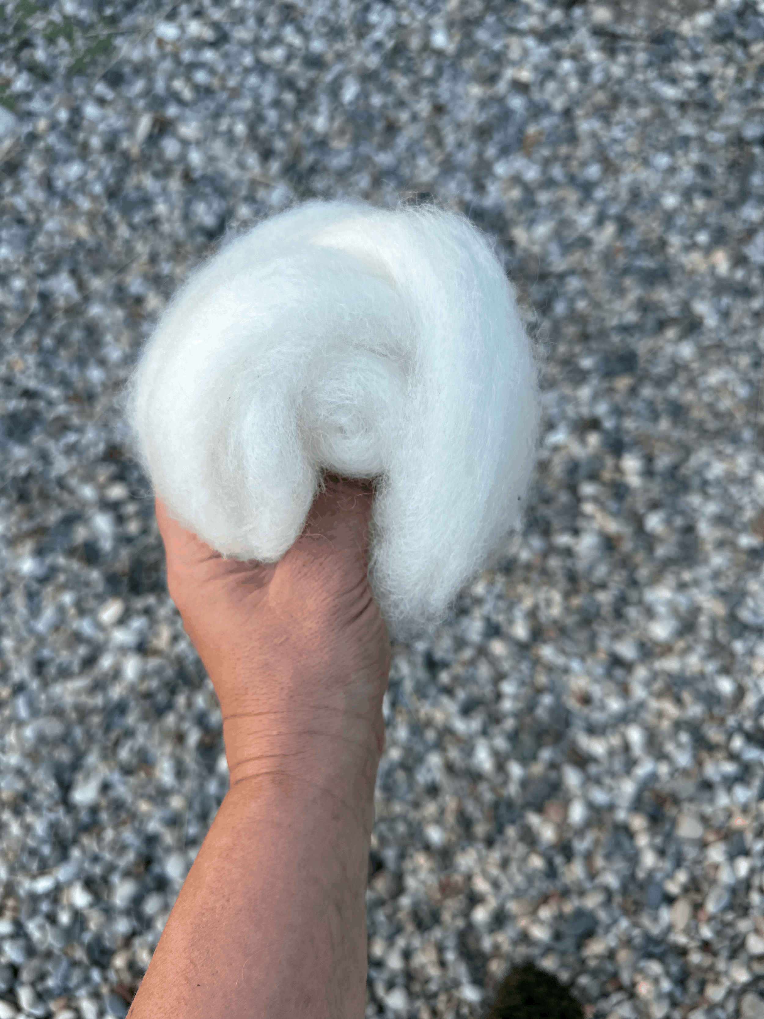 tempImageG85Blz.gif