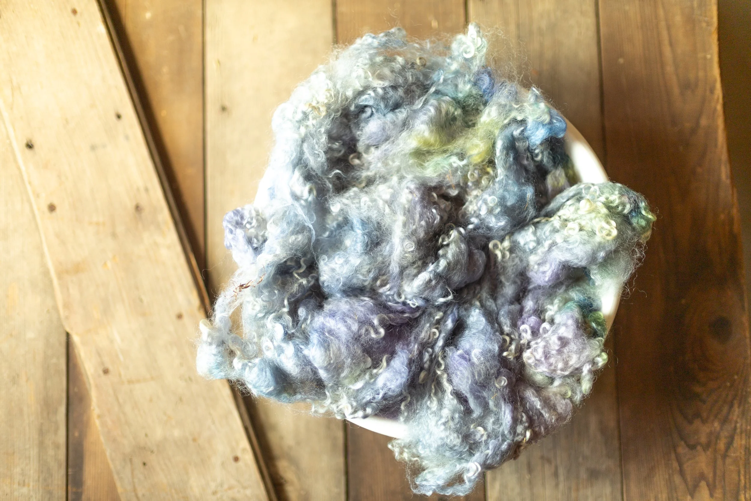 IMG_7824.jpg