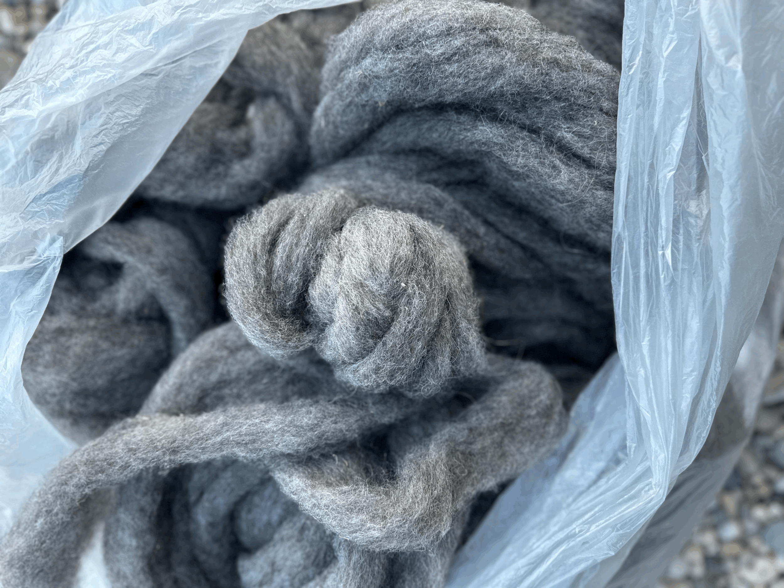 Locally Grown Roving - Shetland