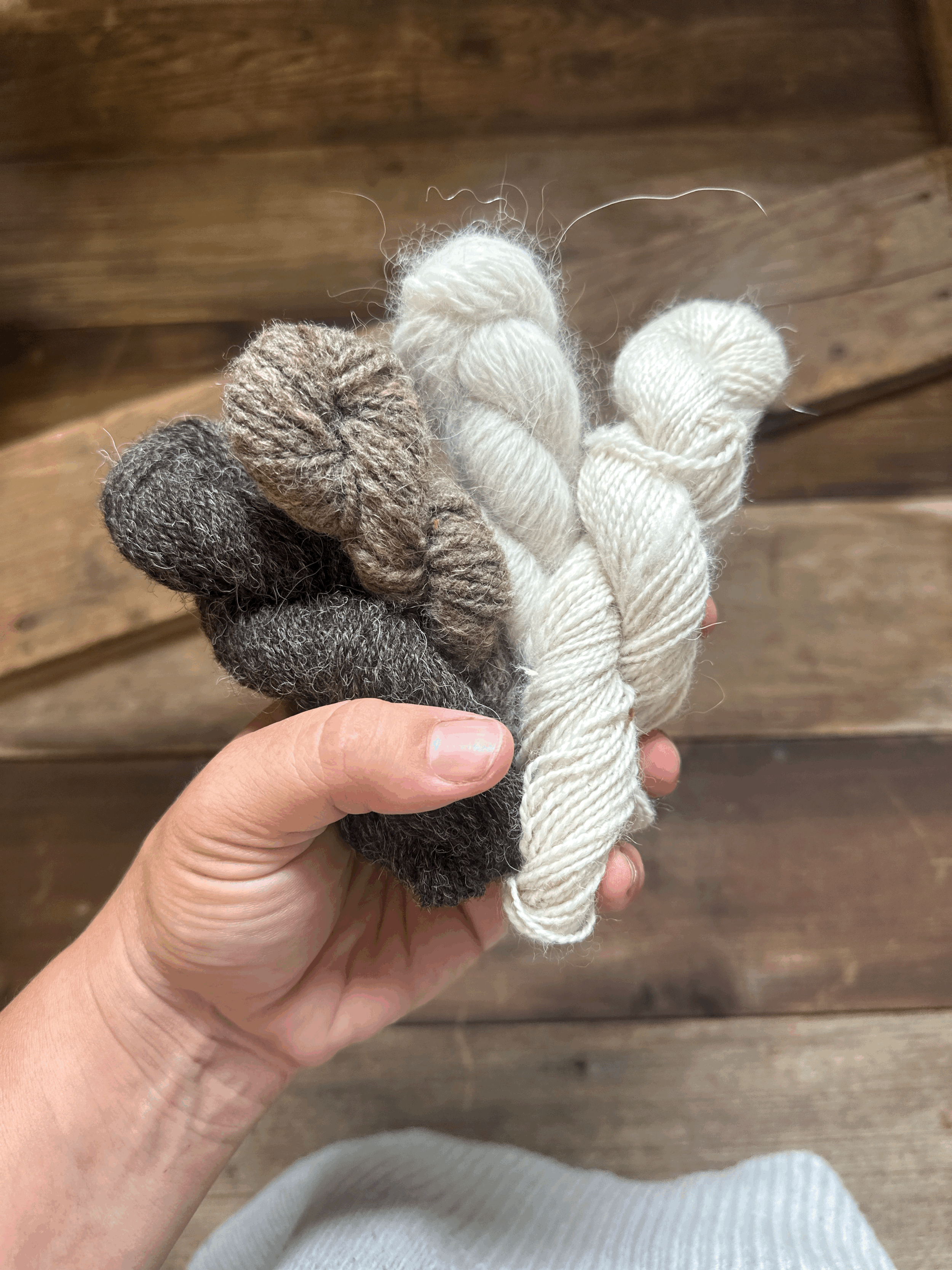 MINI SKEINS Yarn - Locally Grown - Bulky - Various Breeds