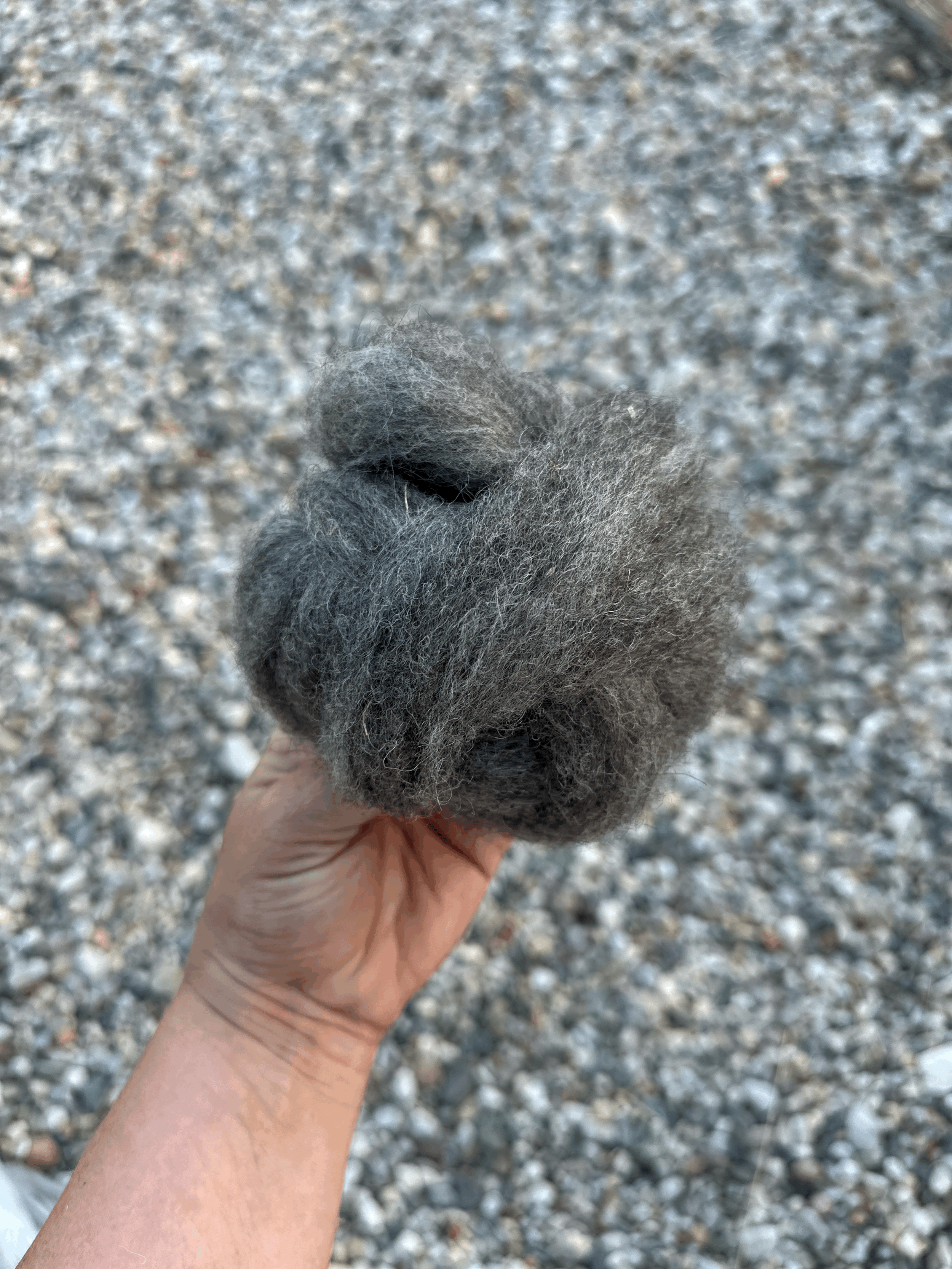 tempImageF9zfI9.gif