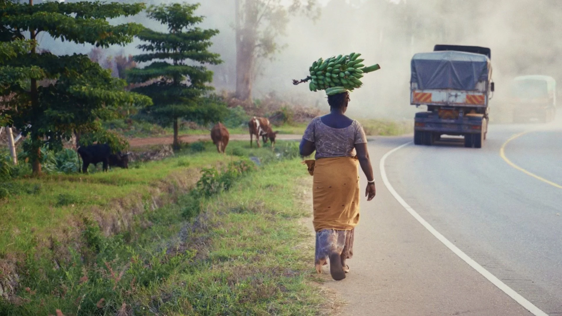 Still 2025-05-28 202801_1.13.1.jpg