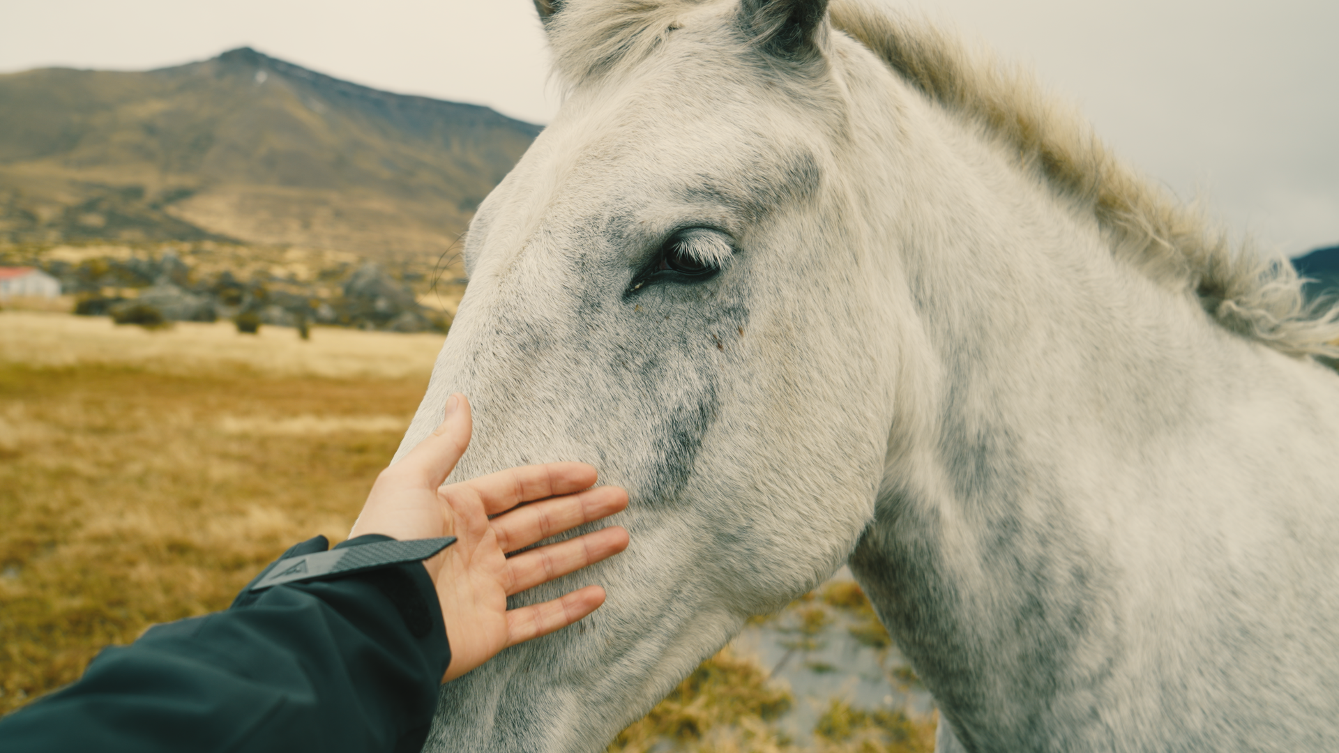 Still 2026-03-23 130713_1.32.1.png