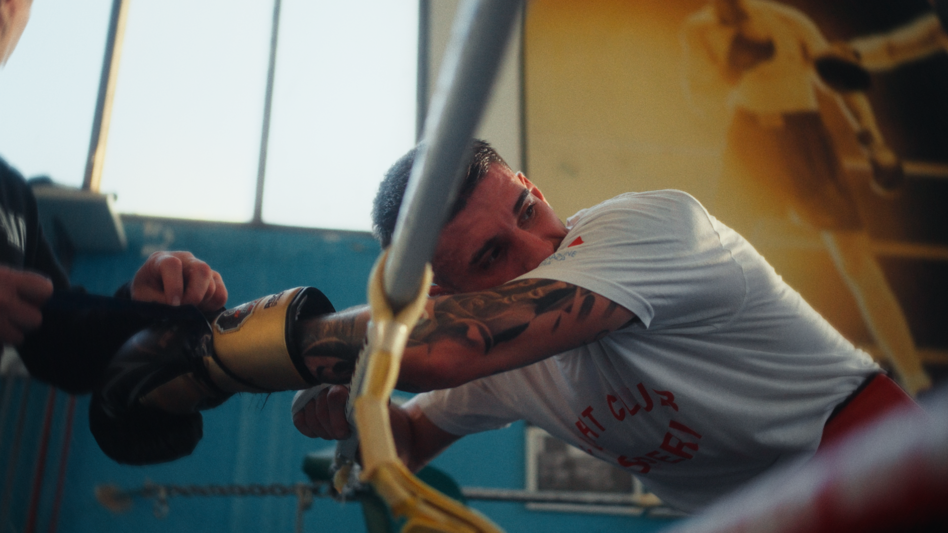 BASE COPERTINE_2.45.1.png