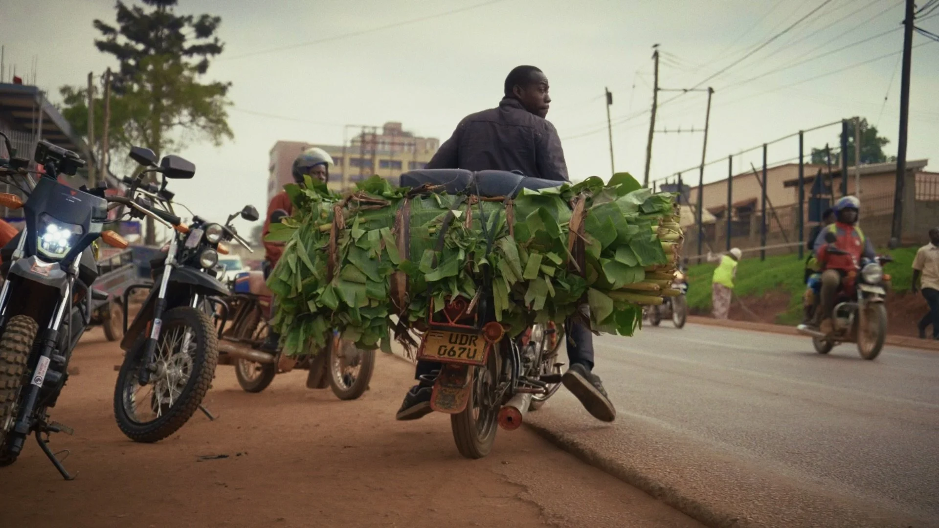 Still 2025-05-28 202801_1.40.1.jpg