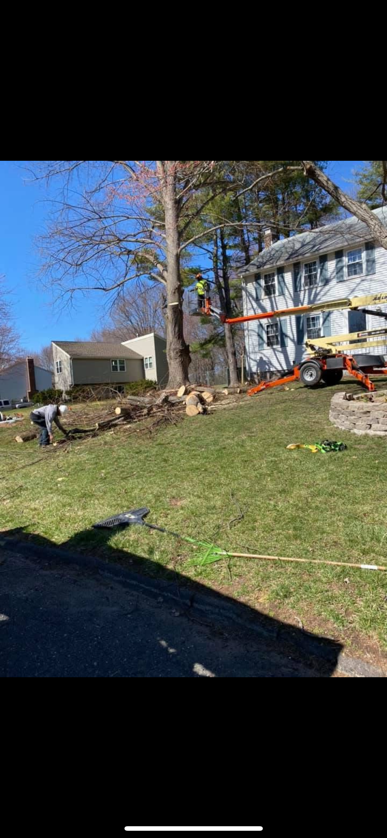 Get It Done team during the process of tree removal cutting and clearing fallen tree branches in a suburban yard, with equipment and large tree trunk pieces on the ground.