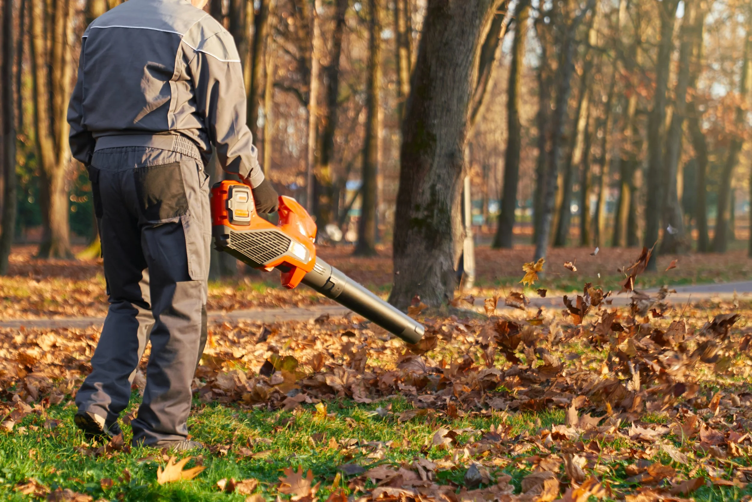 Spring/Fall Cleanups