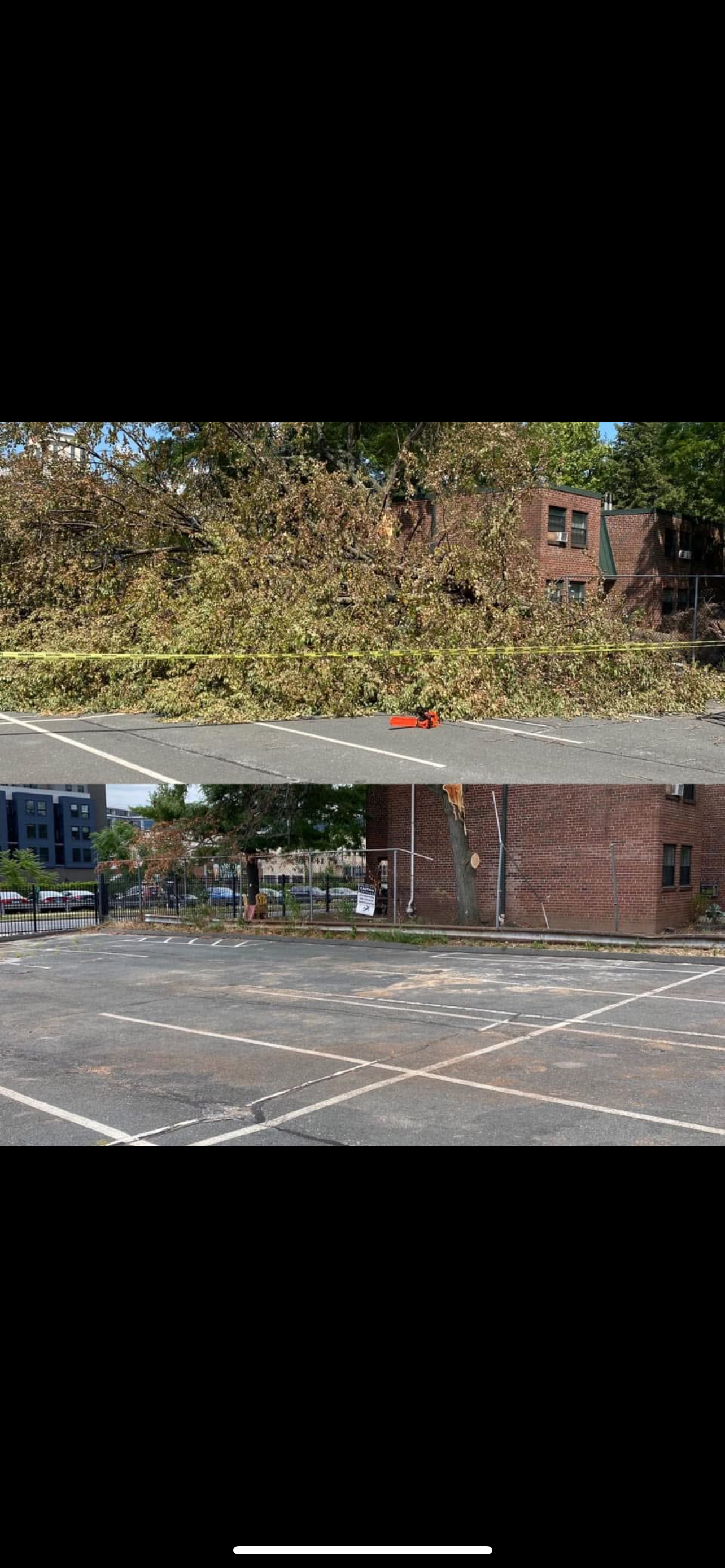 A fallen tree blocking part of a parking lot, with yellow caution tape around it. The tree appears to have broken off near the trunk, and there is a chainsaw on the ground. A brick building is in the background.