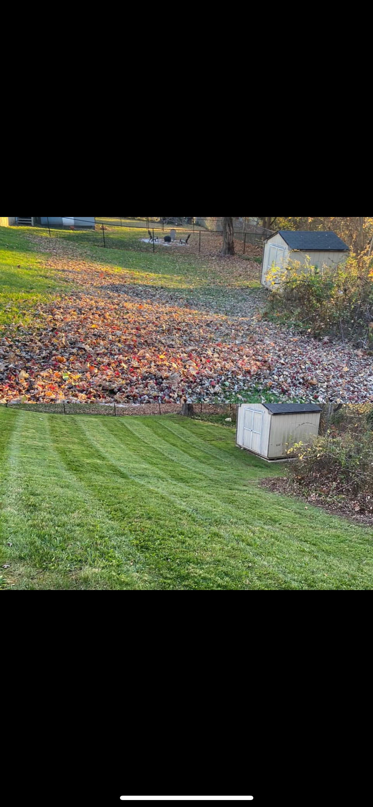 Yard with lush, freshly mowed green grass, a small white shed with a dark roof, an area covered with fallen leaves, and a fence separating the yard from a wooded background with trees and shrubs.