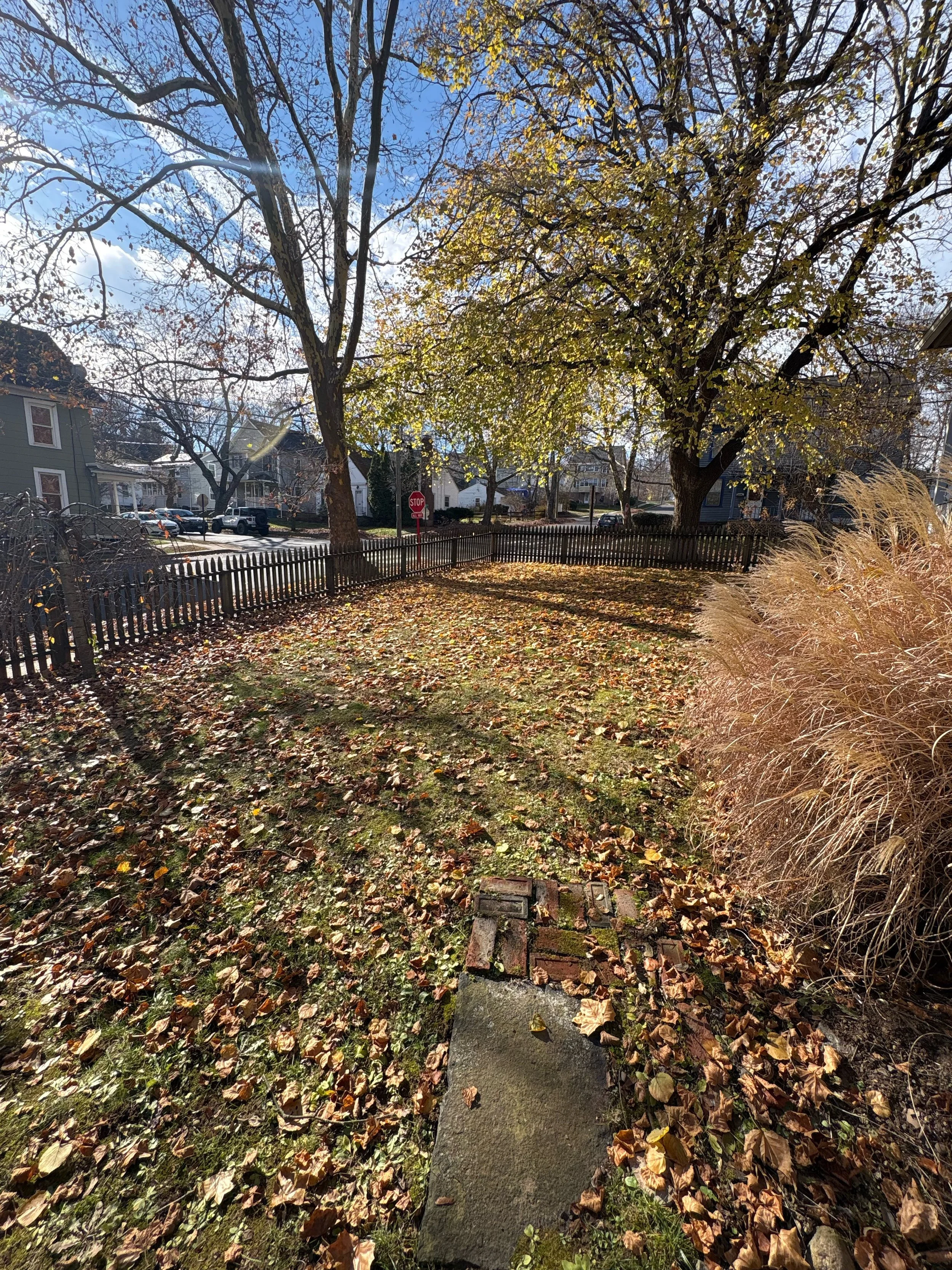 A large gravestone in a yard surrounded by fallen autumn leaves, with trees, houses, and a street with cars in the background on a sunny day.