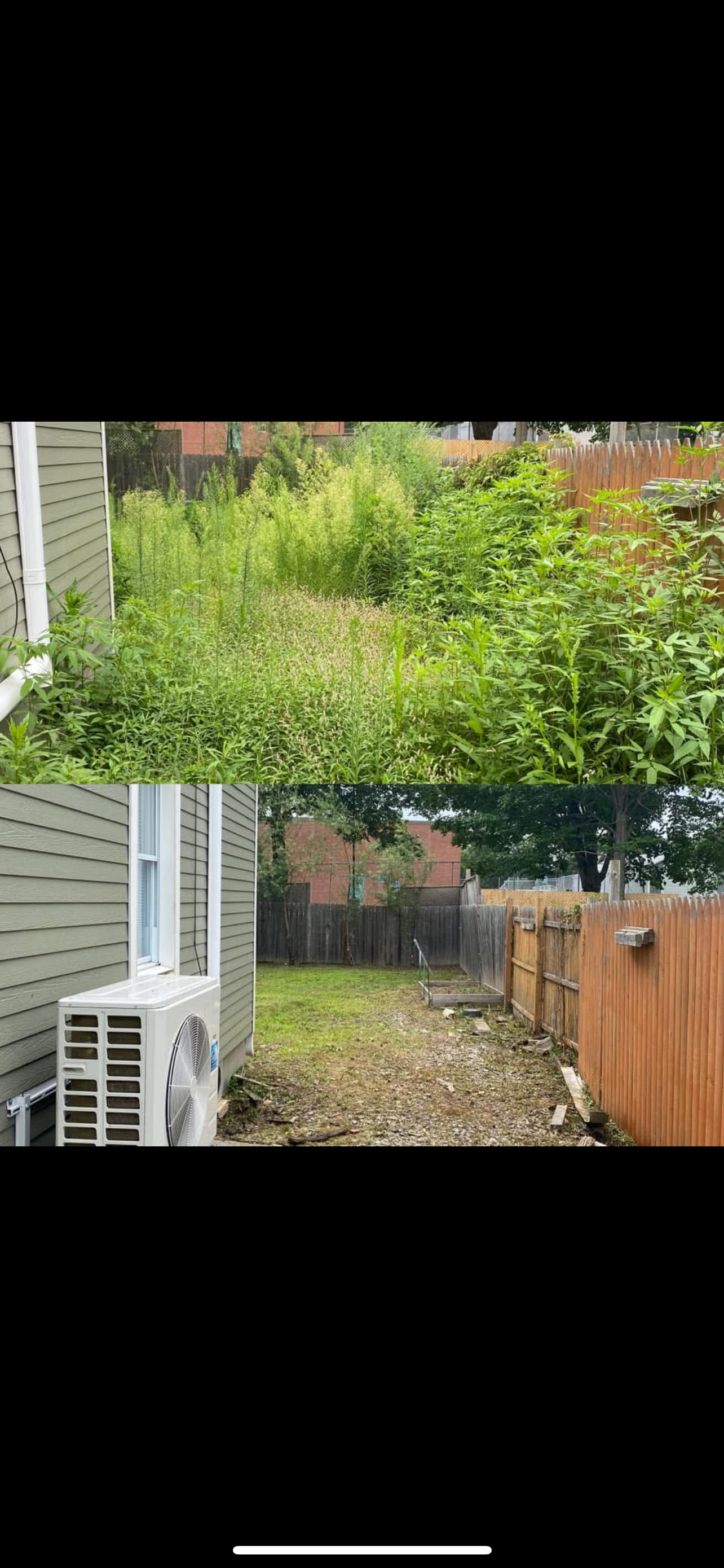 Before and after comparison of overgrown backyard with tall weeds and dense vegetation versus cleared backyard with grass and fence.
