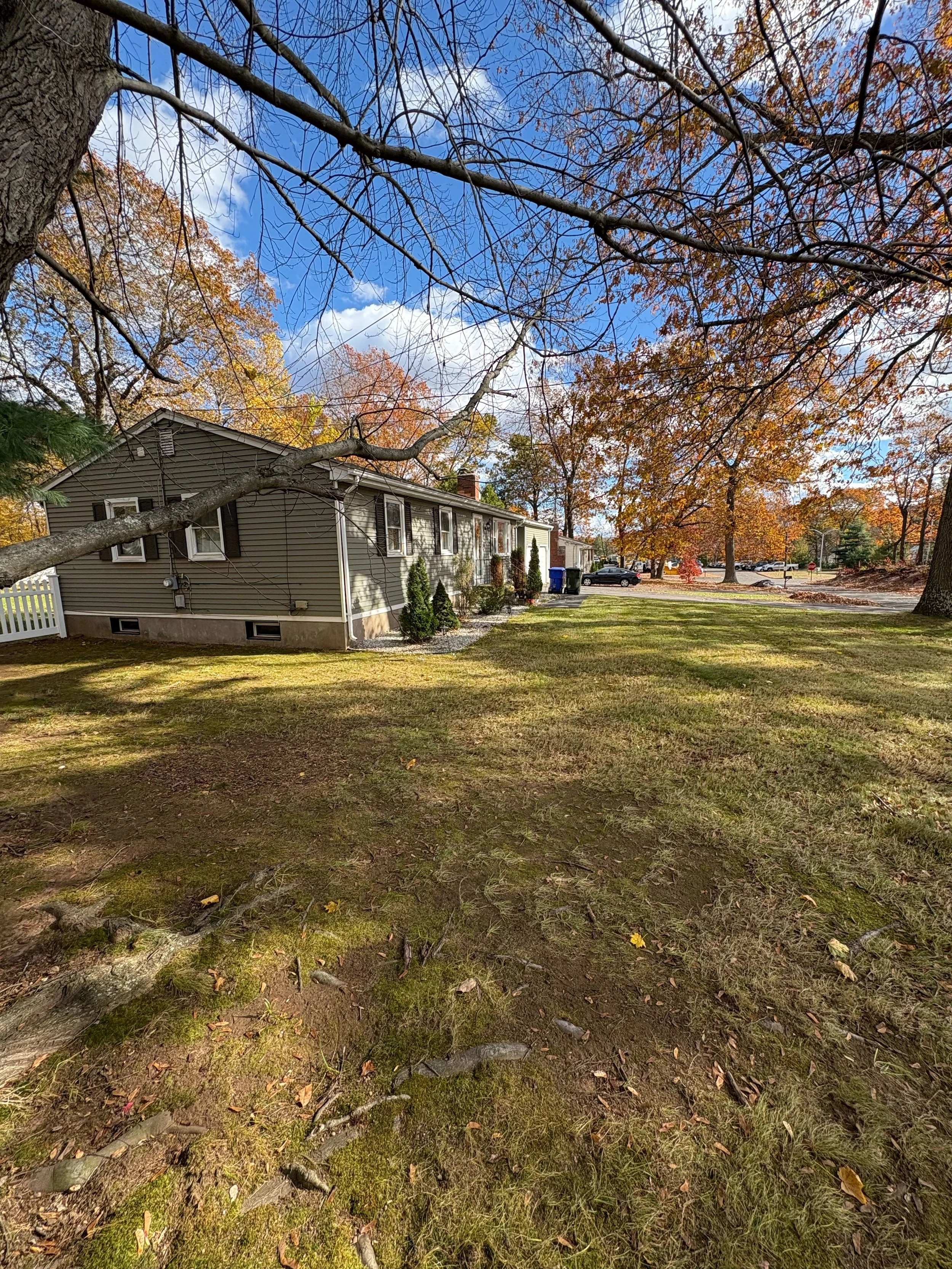 A backyard scene in autumn featuring a large tree with mostly bare branches, a house with light-colored siding, a lawn with patches of moss and fallen leaves, and a clear blue sky with a few scattered clouds.