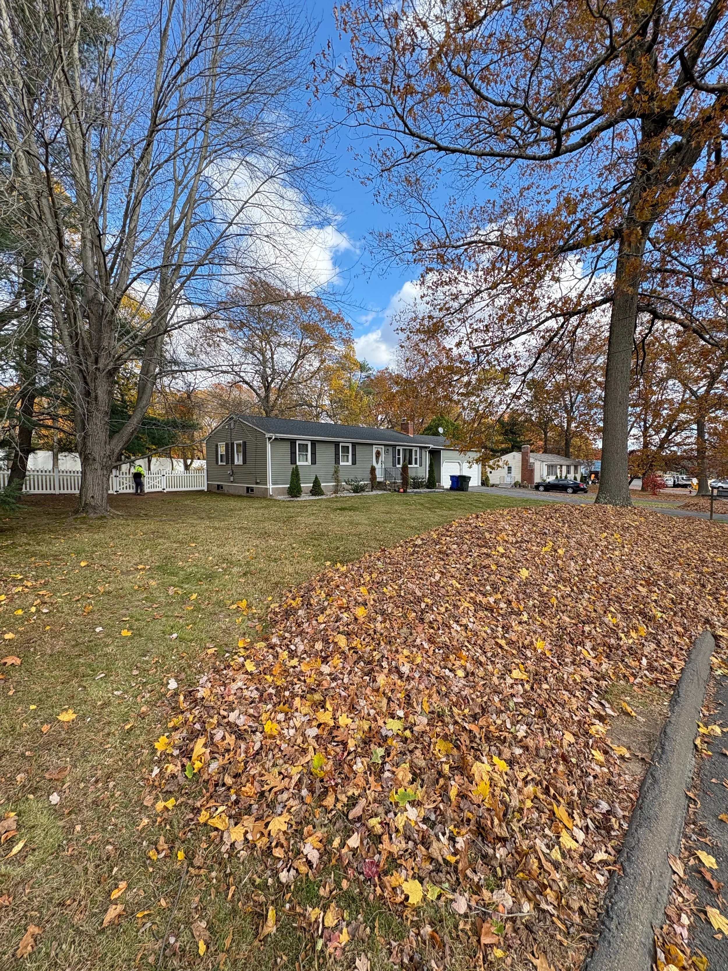 A suburban yard with a large pile of fallen autumn leaves, a large tree with mostly bare branches, and a house in the background under a partly cloudy sky.