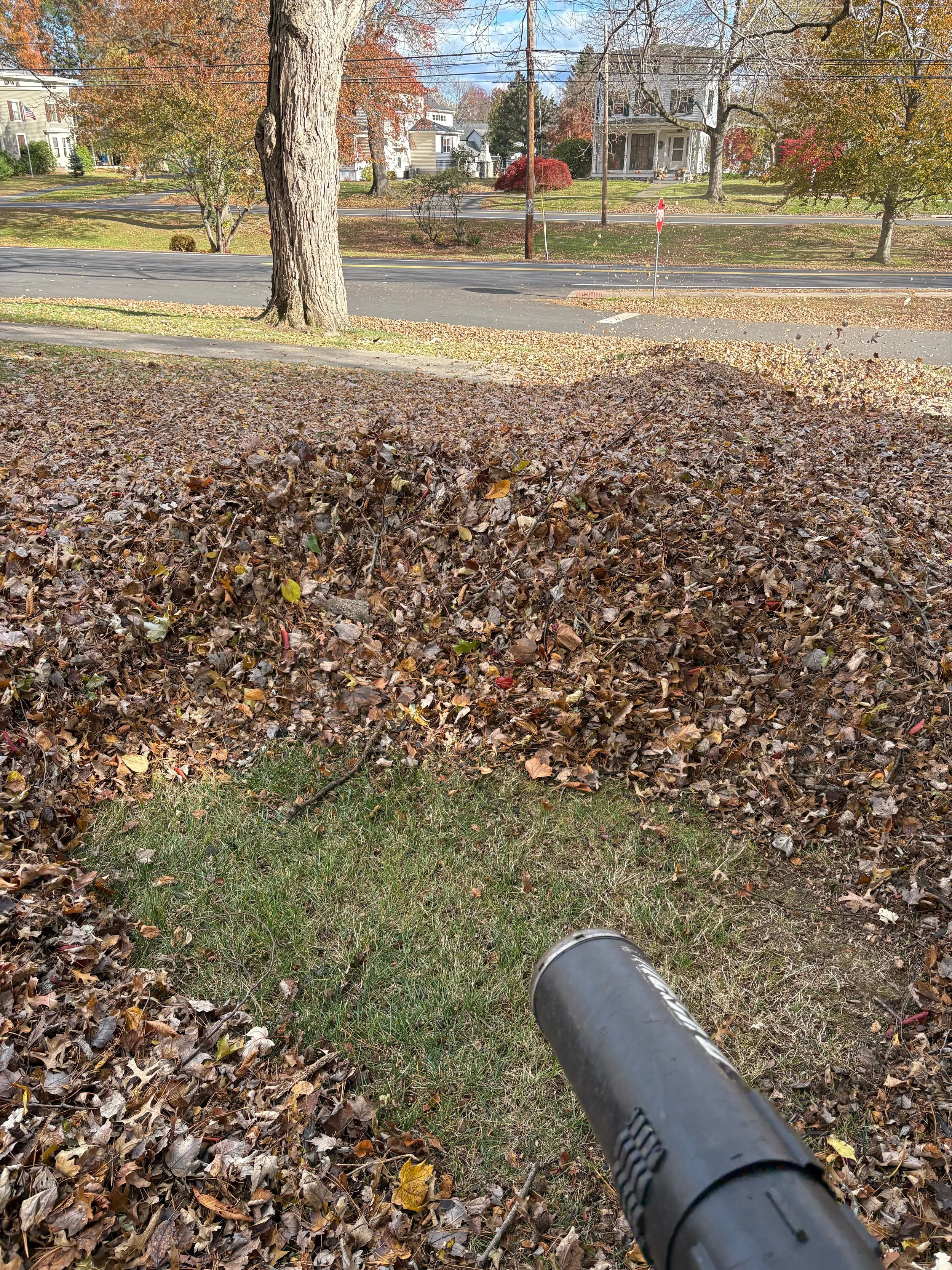 A view from the ground looking down a grassy area covered with fallen autumn leaves, with a black pole or pipe in the foreground, and residential houses and trees with fall foliage in the background.