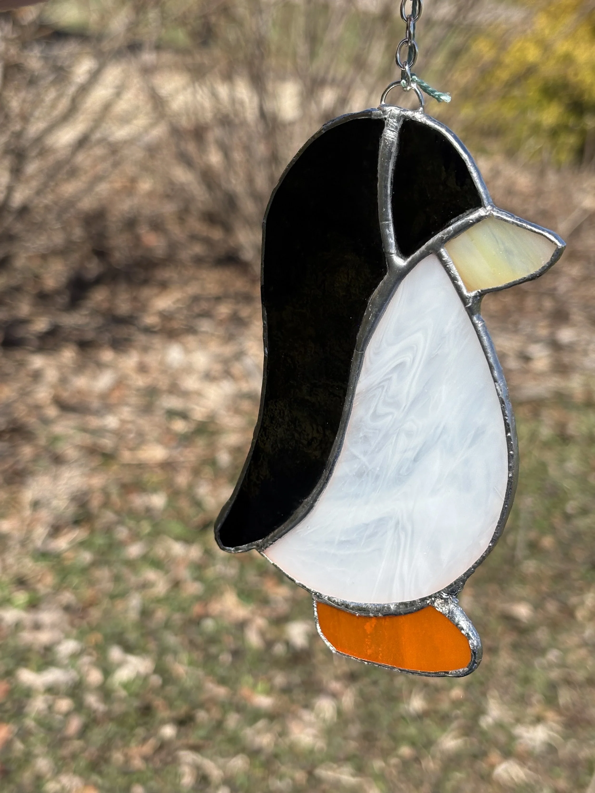 Black and White Penguin