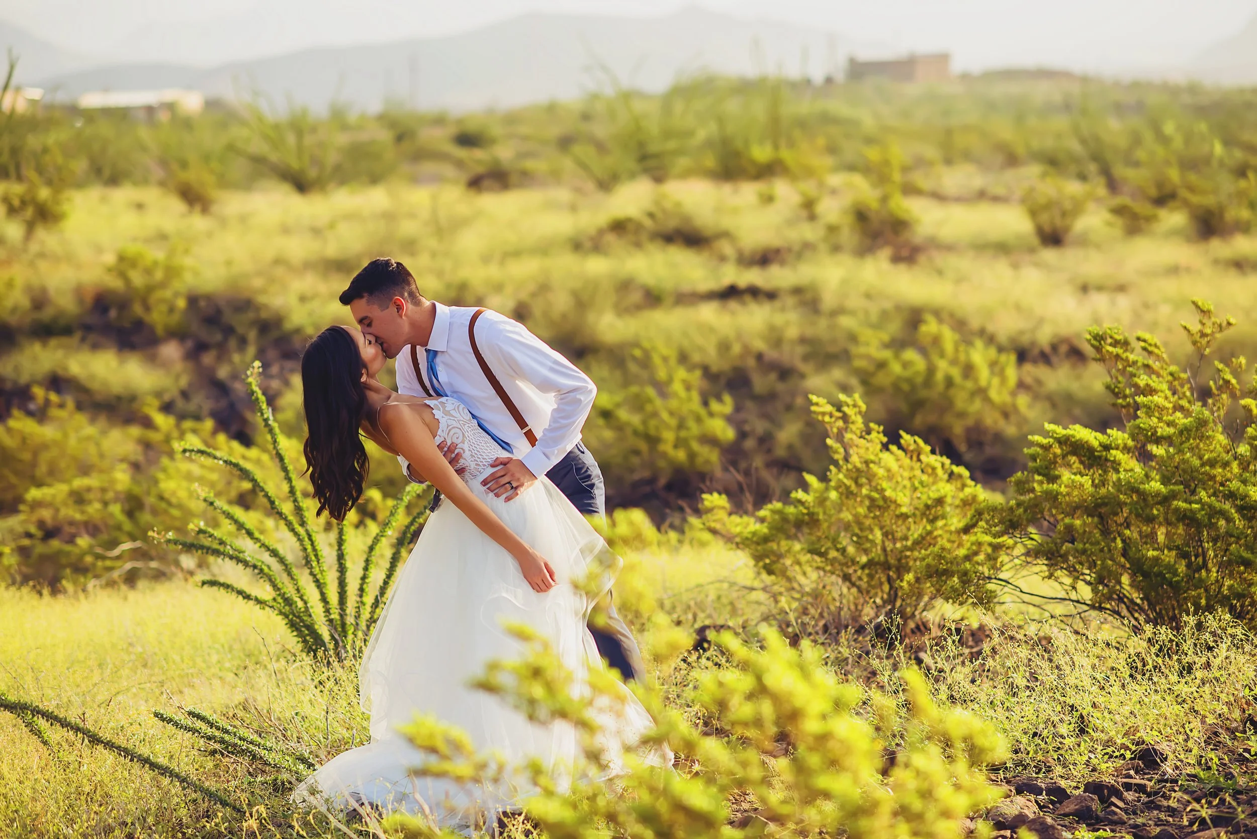A couple dressed in wedding attire sharing a romantic kiss in a green field with plants and bushes, and a distant cityscape in the background.