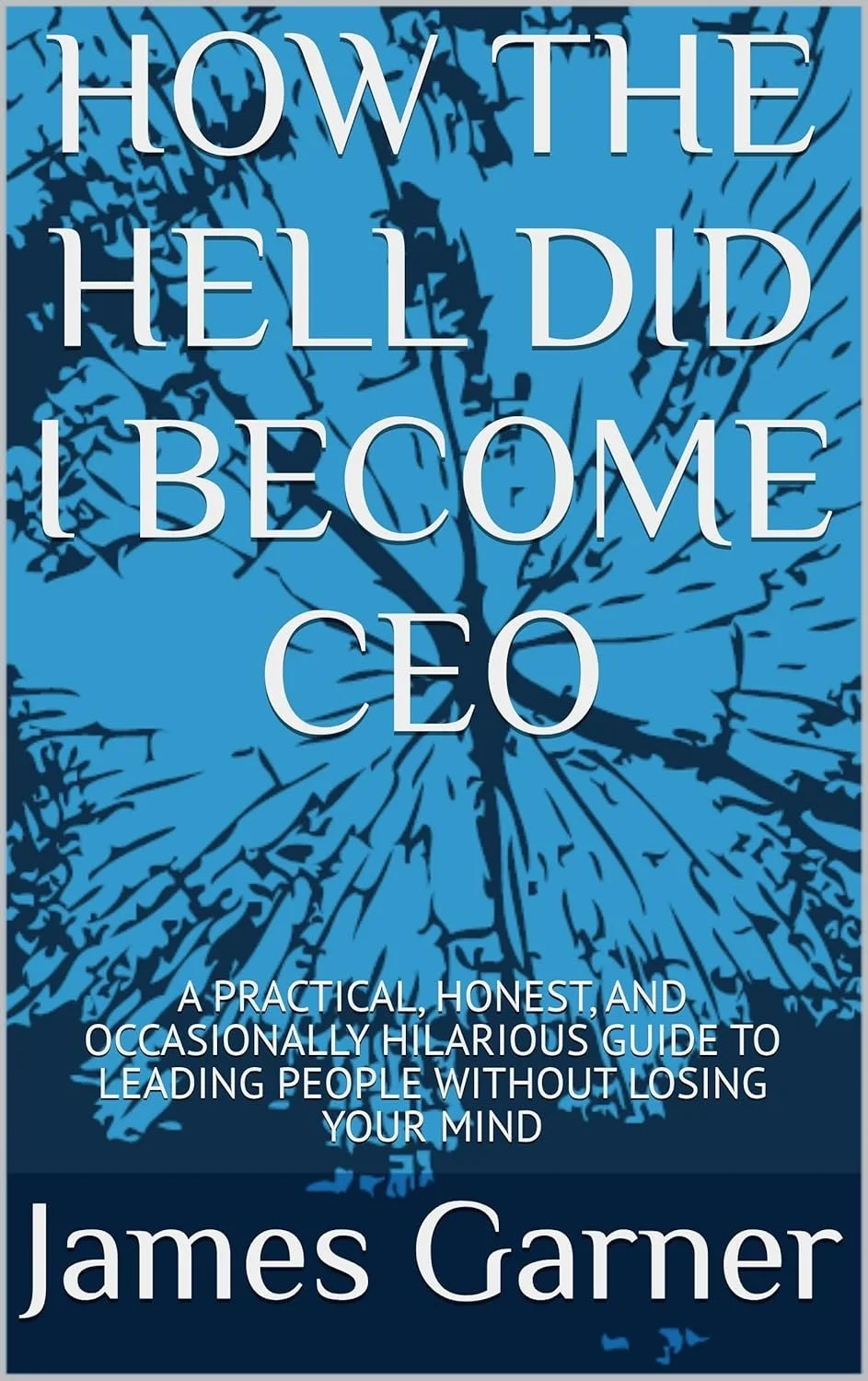 Book cover titled 'How the Hell Did I Become CEO' by James Garner, with a blue background and a black silhouette of a tree.
