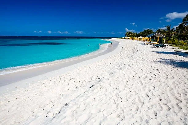 White sandy beach with turquoise water, blue sky, and a few clouds, lined with palm trees and beach chairs under yellow umbrellas.