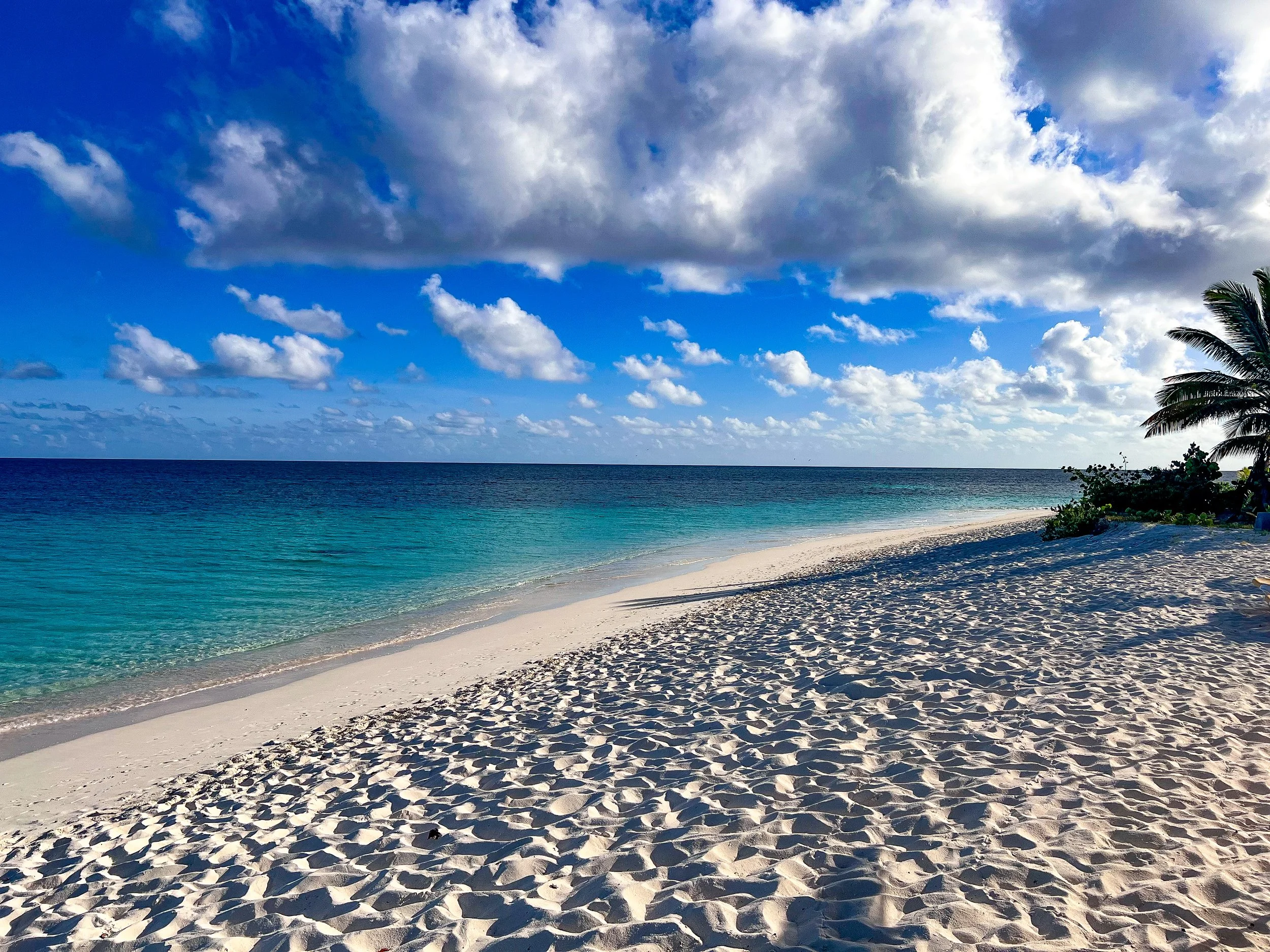 Sunlit sandy beach with turquoise ocean water, palm trees on the right, and a partly cloudy sky.
