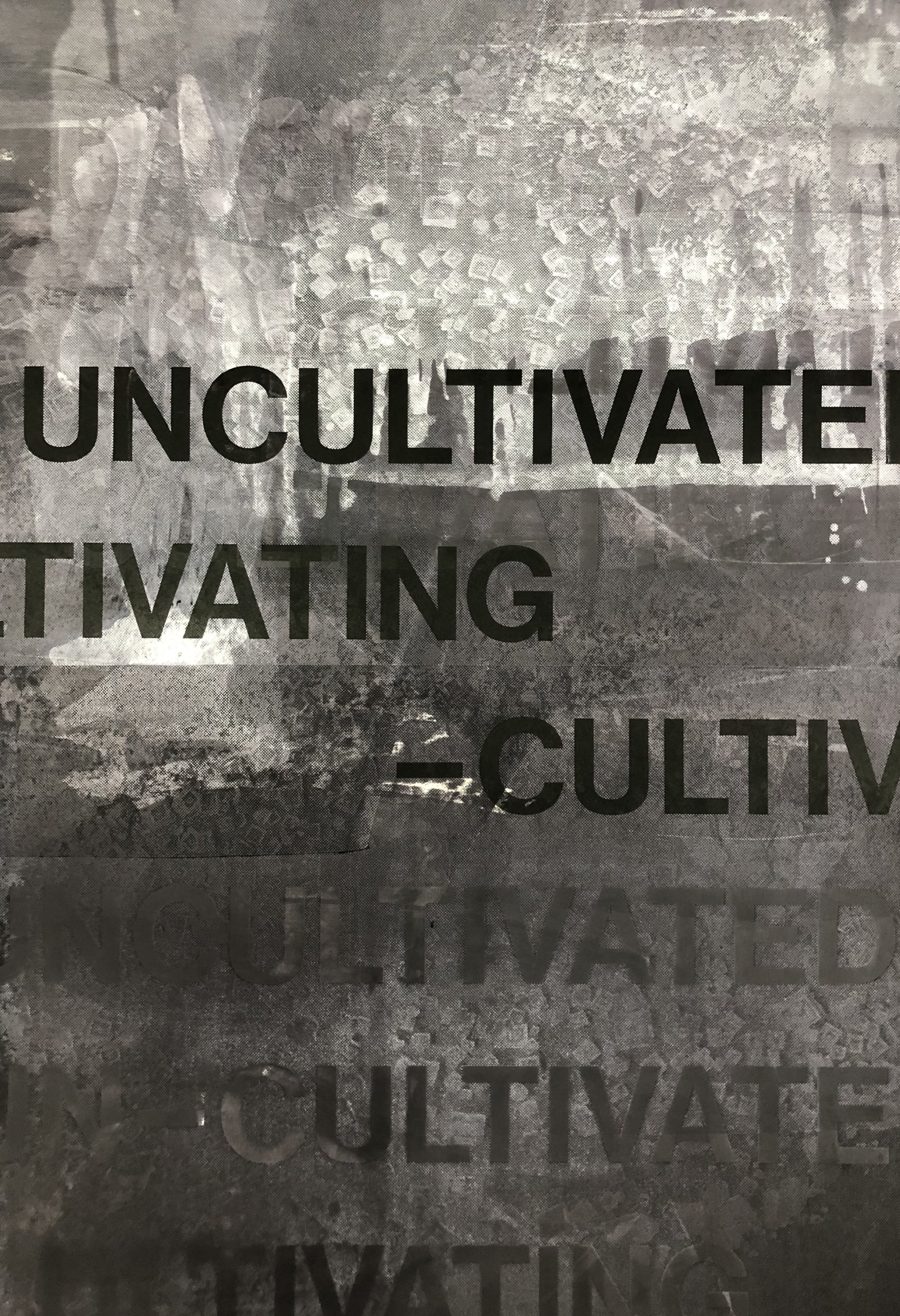 Text