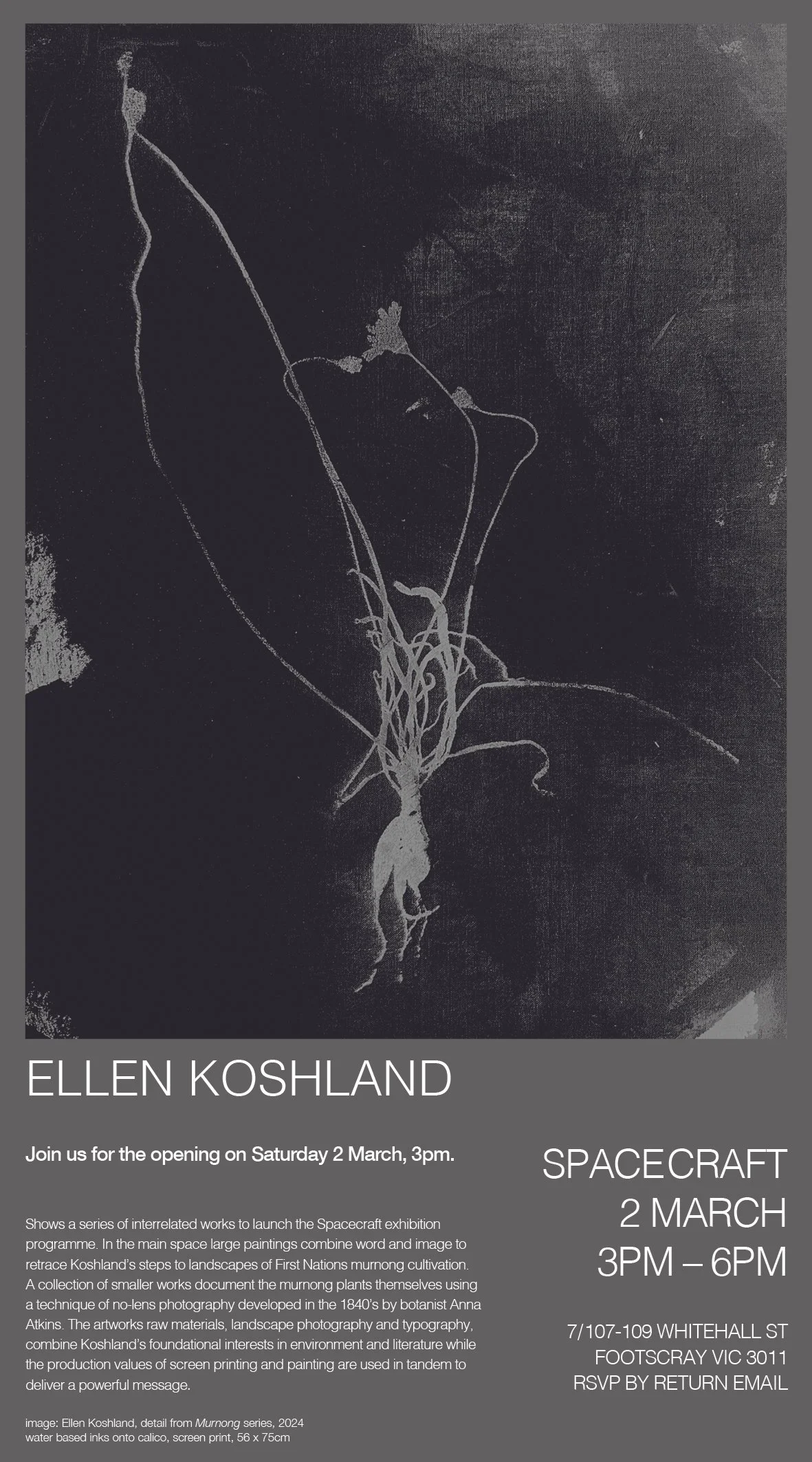 Ellen Koshland exhibition at Spacecraft, March 2024