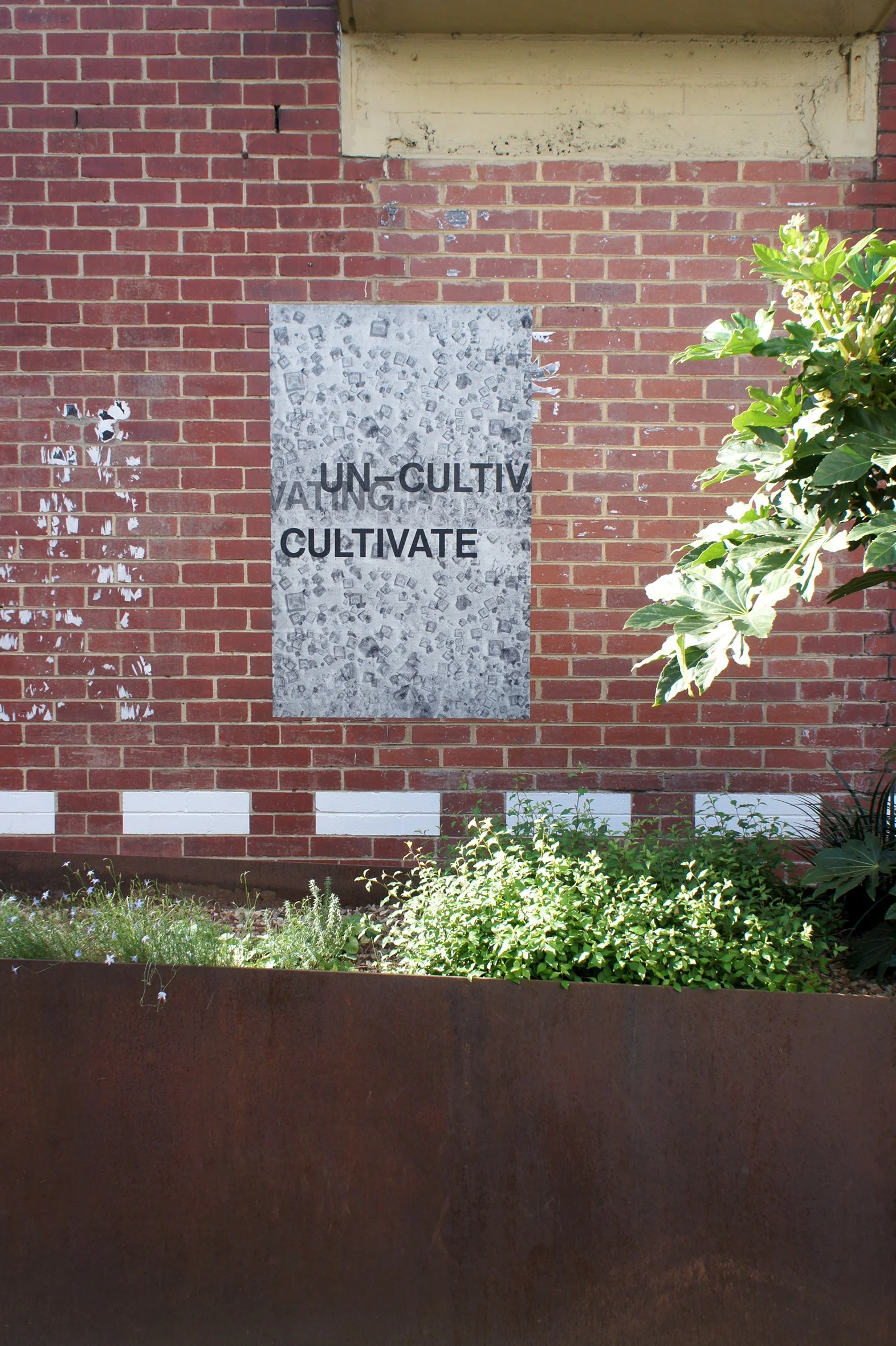 Cultivate, Rokeby St studio wall, 2019