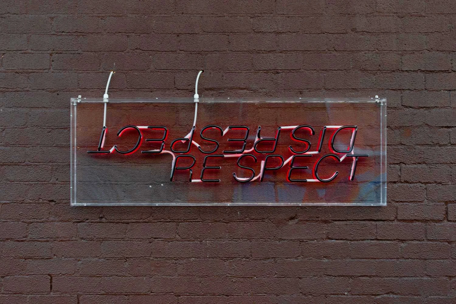 Haydens Gallery / Radical Generosity 04.10.2024 - 02.11.2024 / Neon