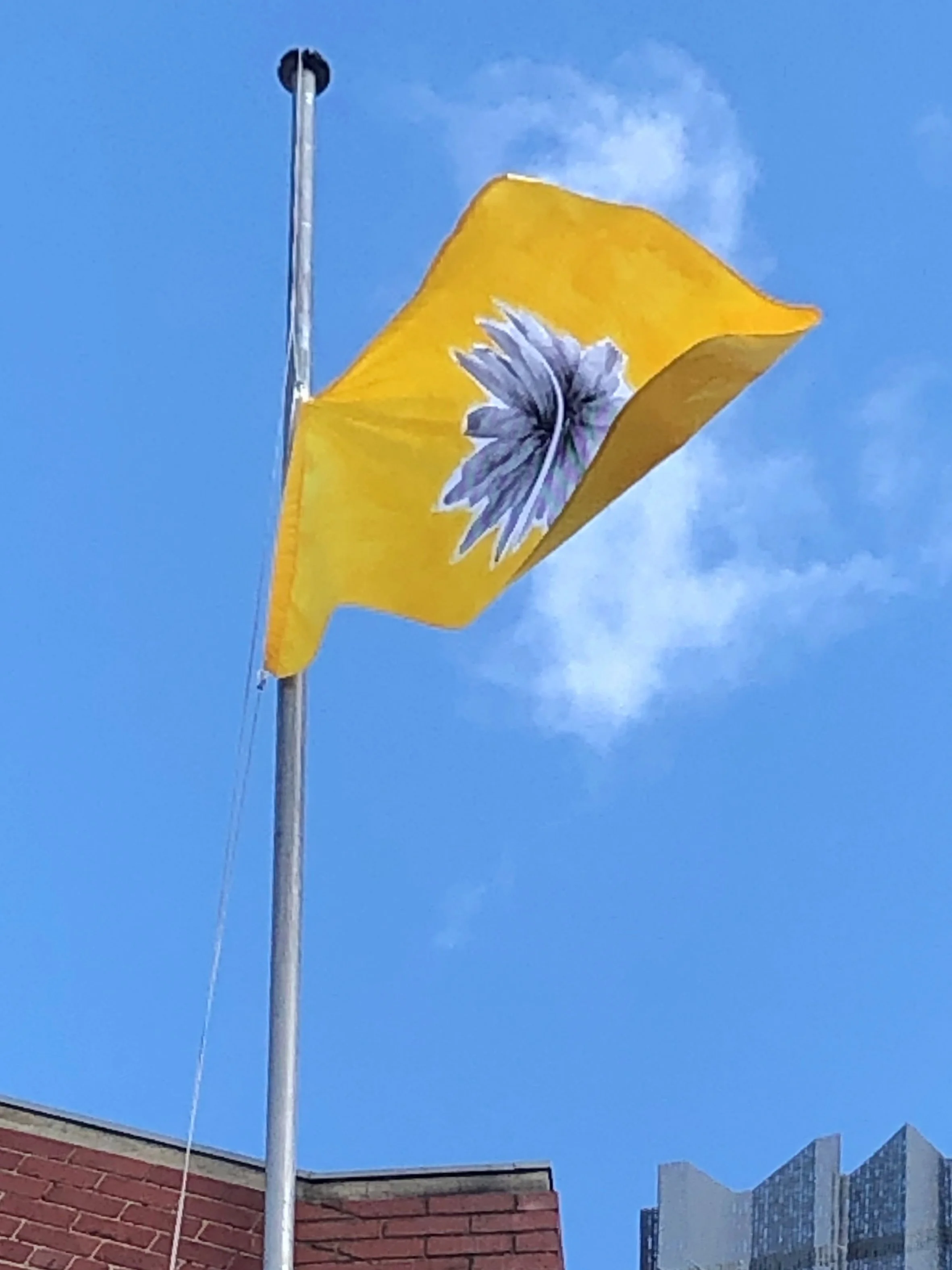 On Top of The World / Rokeby St, Collingwood with Spacecraft & Wardle, 2019