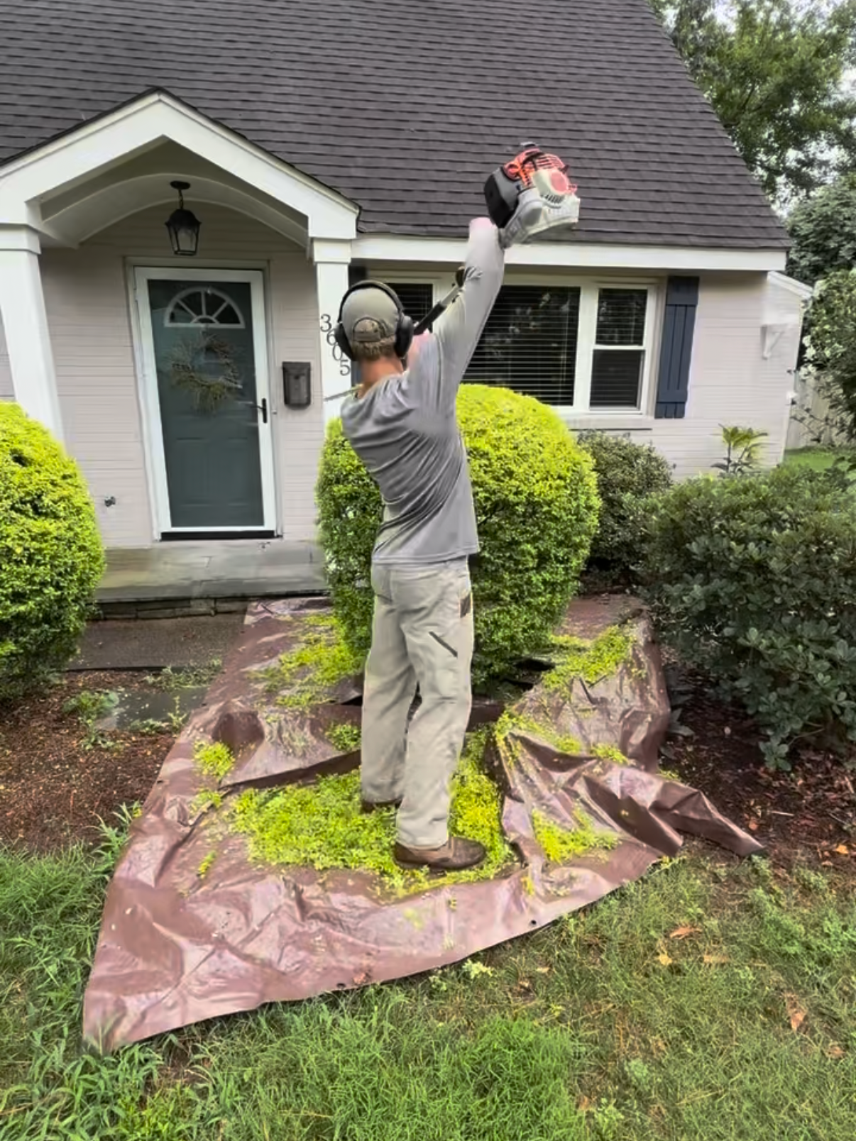 A man in a gray shirt, beige pants, and hearing protection is landscaping in front of a house. He is using a leaf blower on a large mulch bed with bushes, and a house with a front door and windows is in the background.