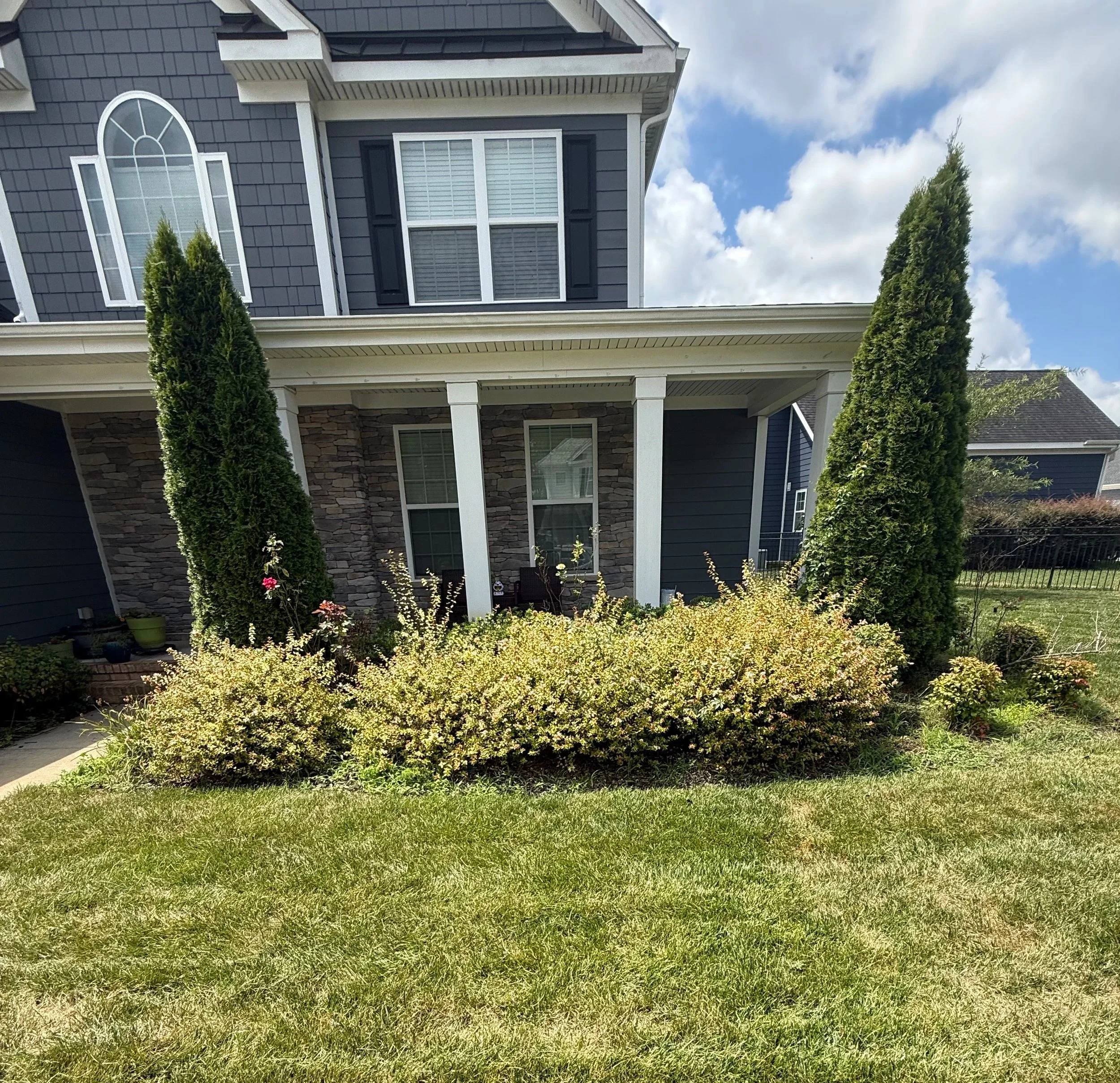 Front yard of a house with blue siding, stone accents, two tall evergreen trees, a small garden with bushes and flowers, and a porch with two black chairs.