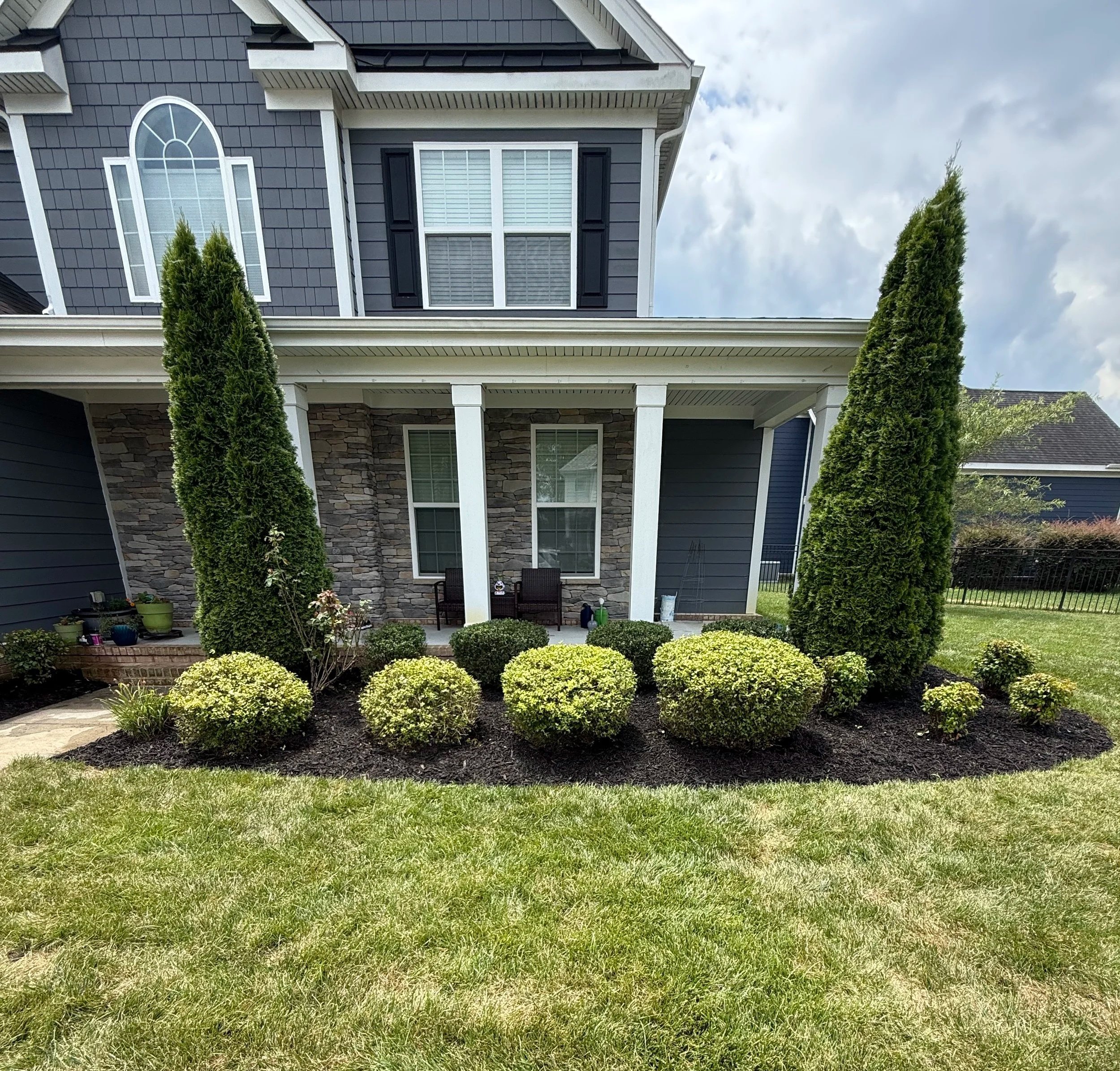 Front yard landscaping with two tall evergreen trees, rounded bushes, and a covered porch in front of a two-story house with gray siding and stone accents.