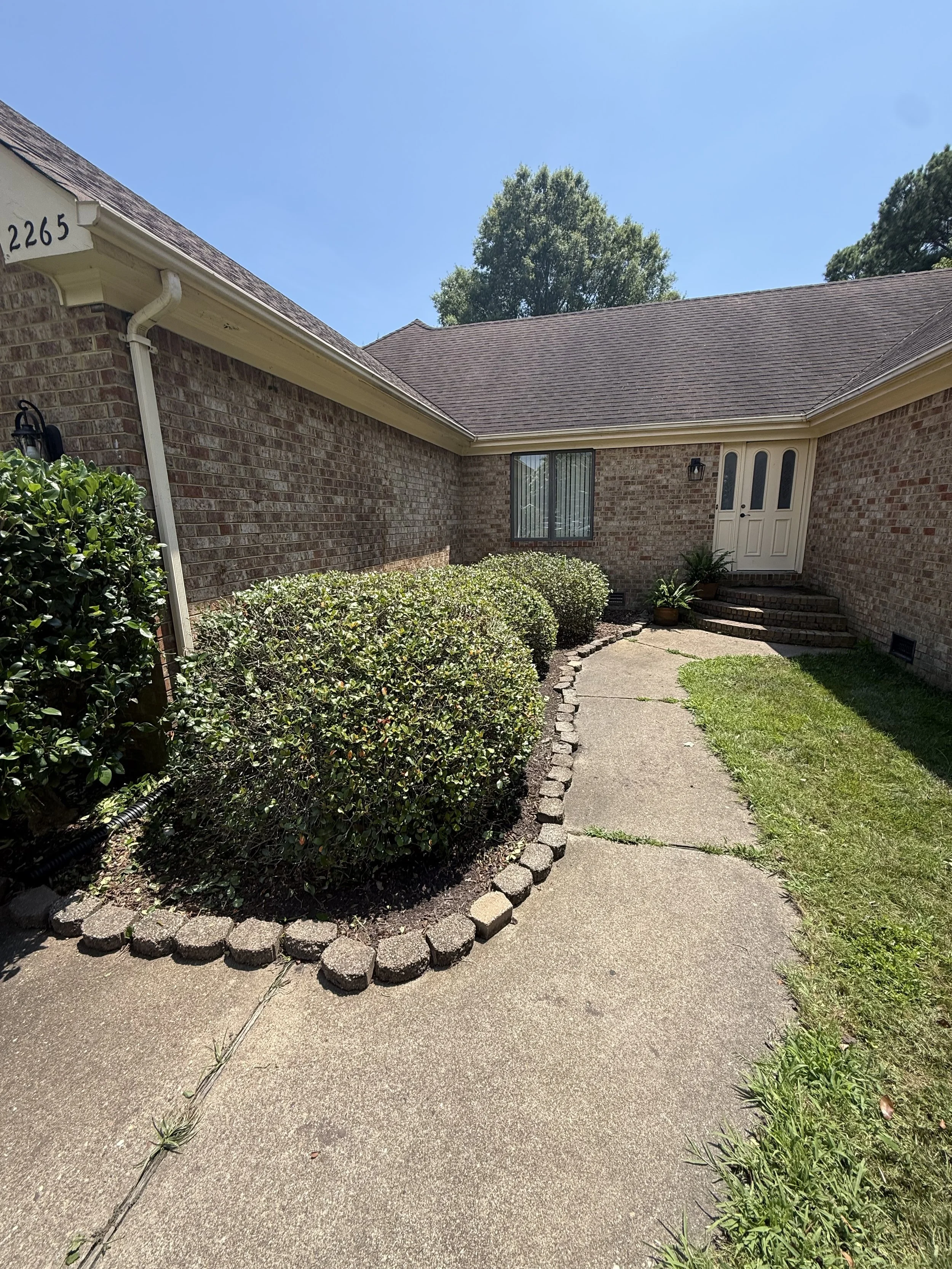 Front walkway leading to the door of a brick house with bushes on the side, a small garden, and a clear blue sky.
