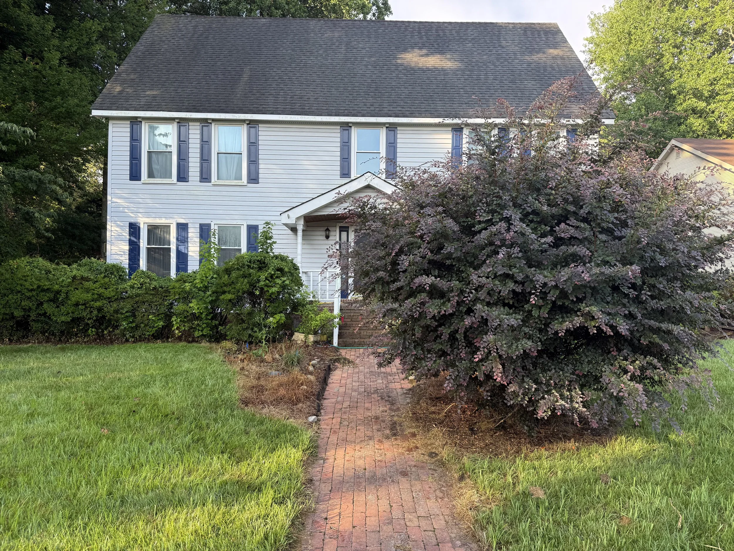 Overgrown shrubs along the entire facade of the property, windows blocked, grass growing into mulch beds. 