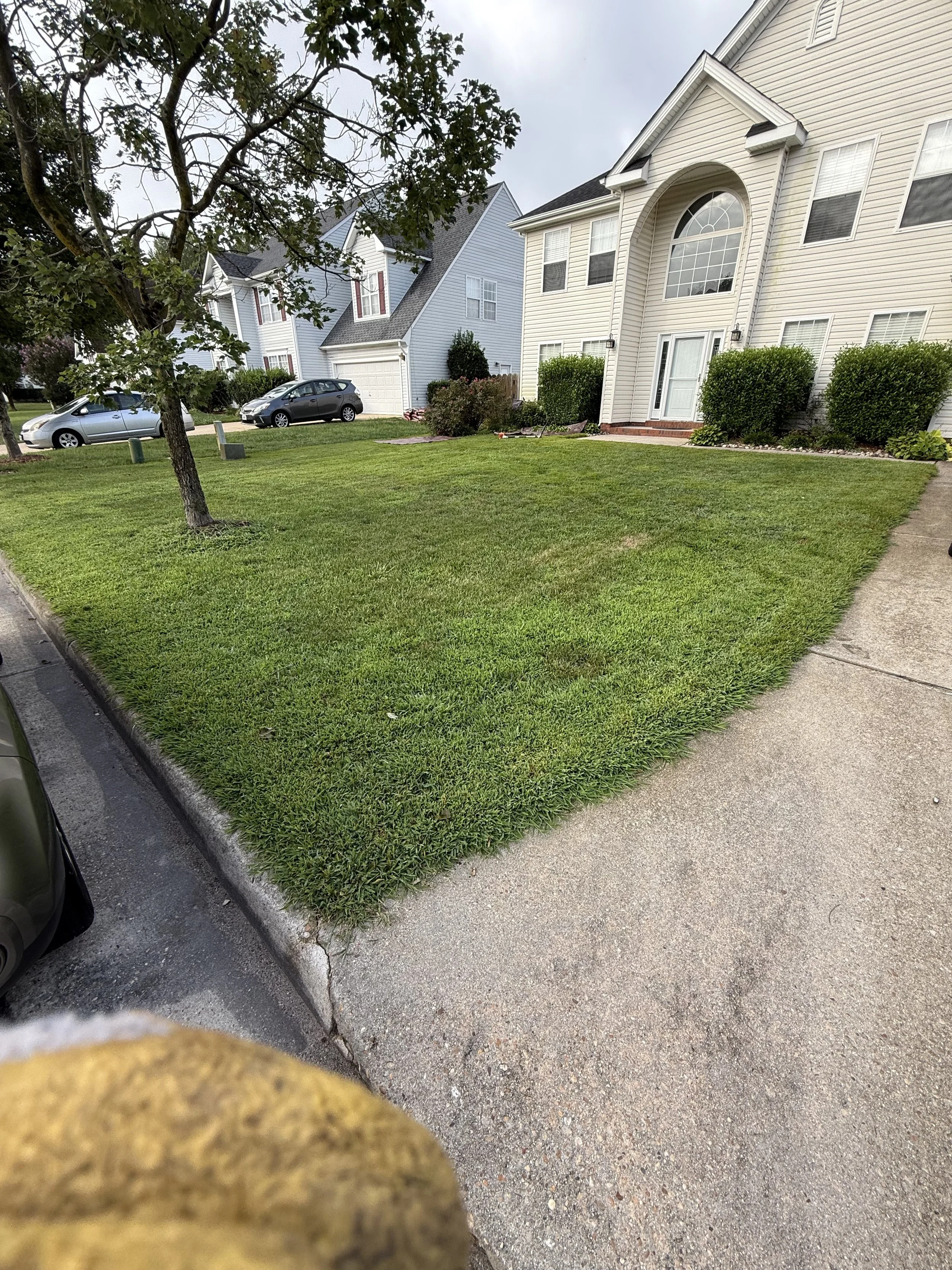A well-maintained front yard with green grass, a sidewalk, a tree, and neighboring houses in the background.