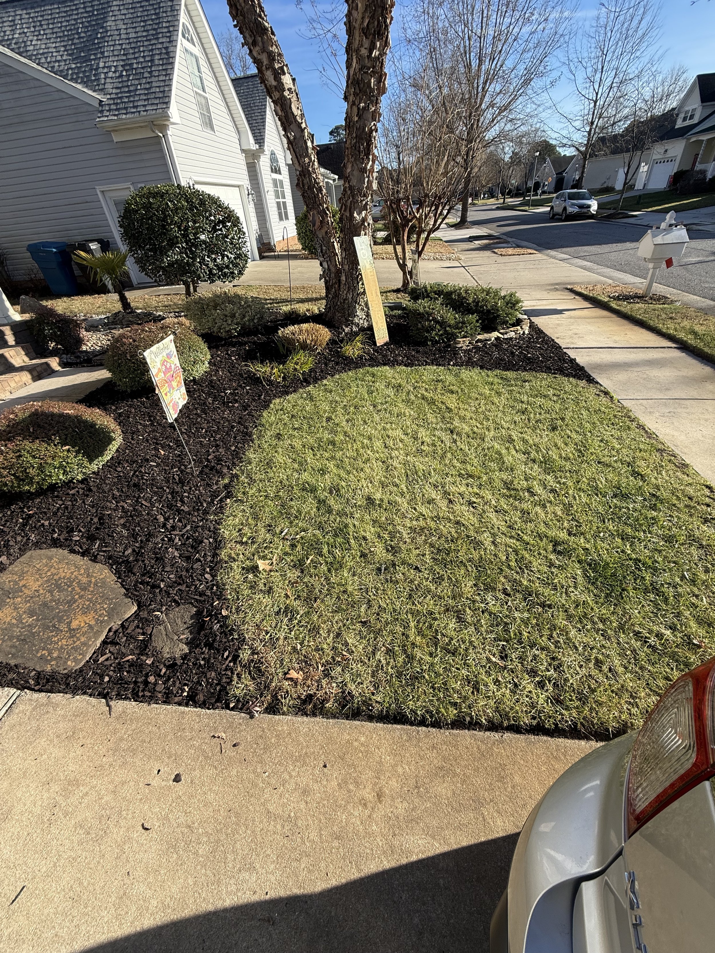 A suburban front yard with green grass, small bushes, a tree, and a sidewalk. A driveway and street are visible, with a car partially shown in the foreground and houses in the background.