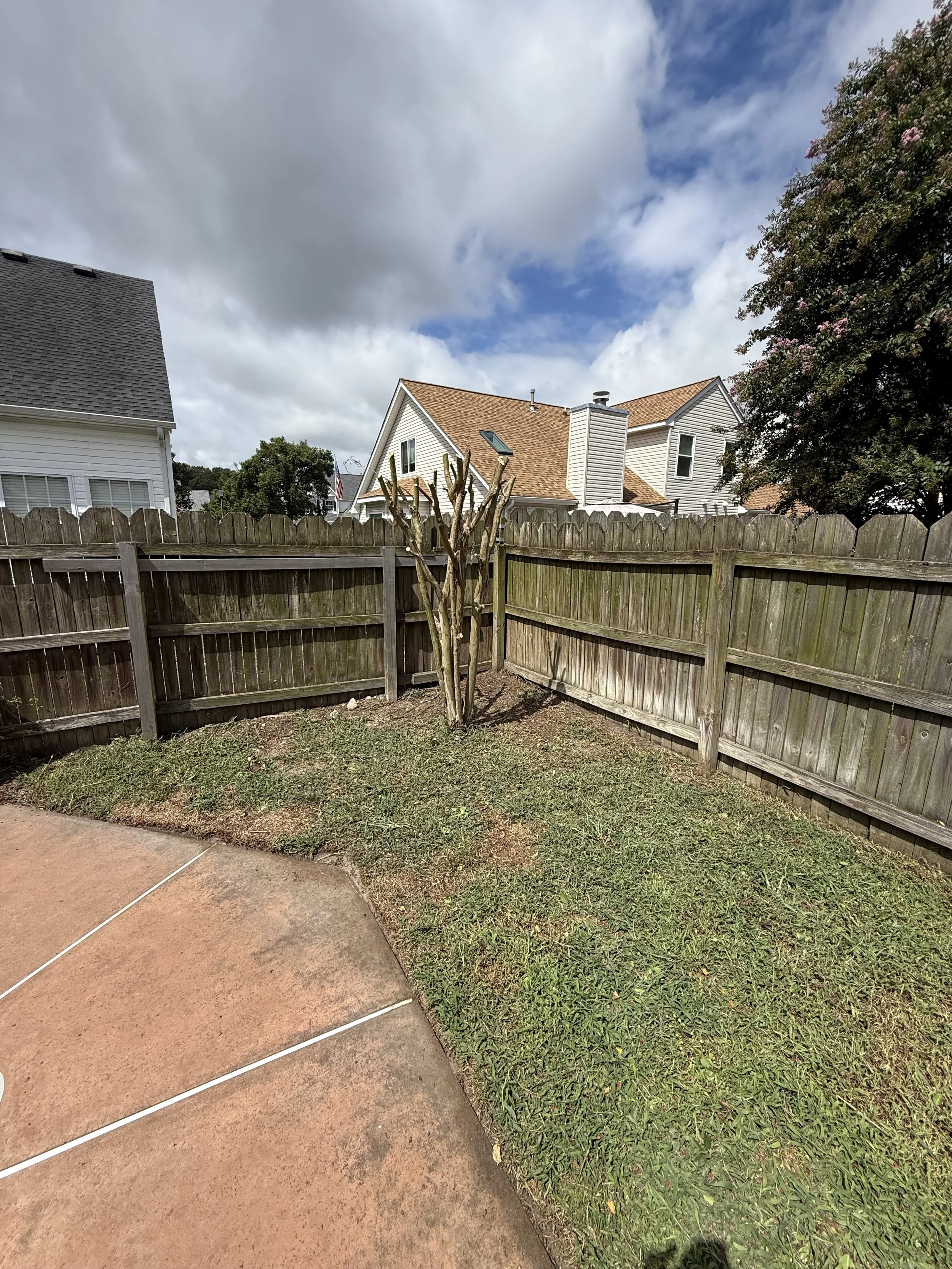 Backyard with a small tree, wooden fence, grass, concrete patio, houses, cloudy sky.