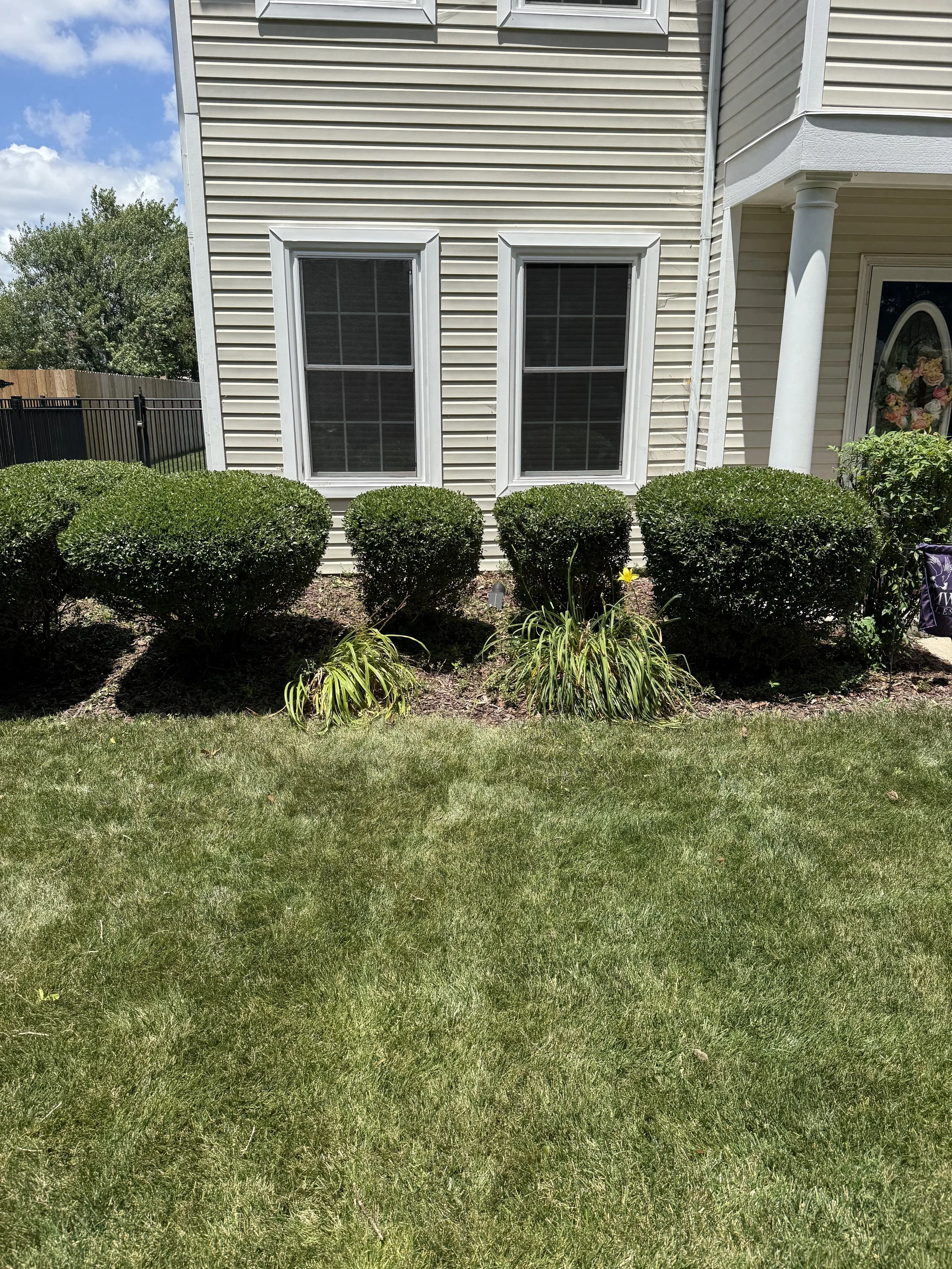 Front yard with well-maintained green grass, trimmed bushes, and a house with beige siding and white-framed windows.