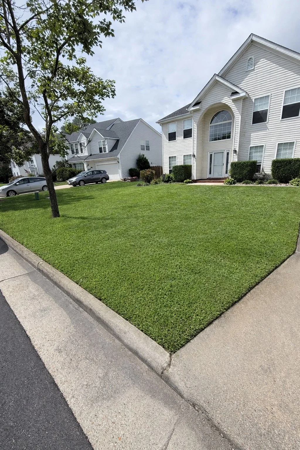 A suburban neighborhood with well-maintained lawns, white houses, and parked cars. A tree with green leaves is on the left side of the image, and the sky is partly cloudy.