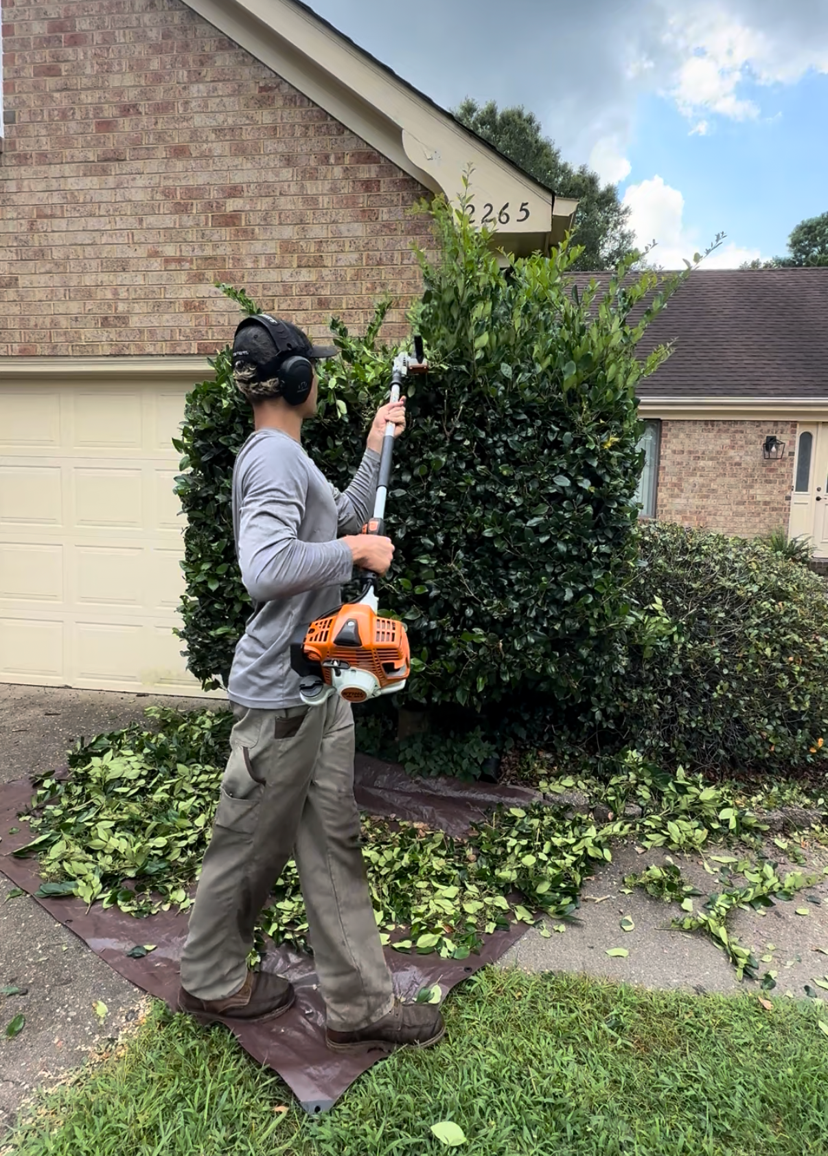 Man trimming a large green hedge with a gas-powered hedge trimmer outside a brick house.